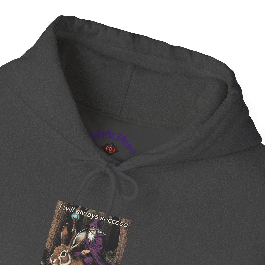 “I will always succeed because I am insane” Galactic Wizard Meme Unisex Hooded Sweatshirt - The Galactic Wizard Emporium - Hoodie
