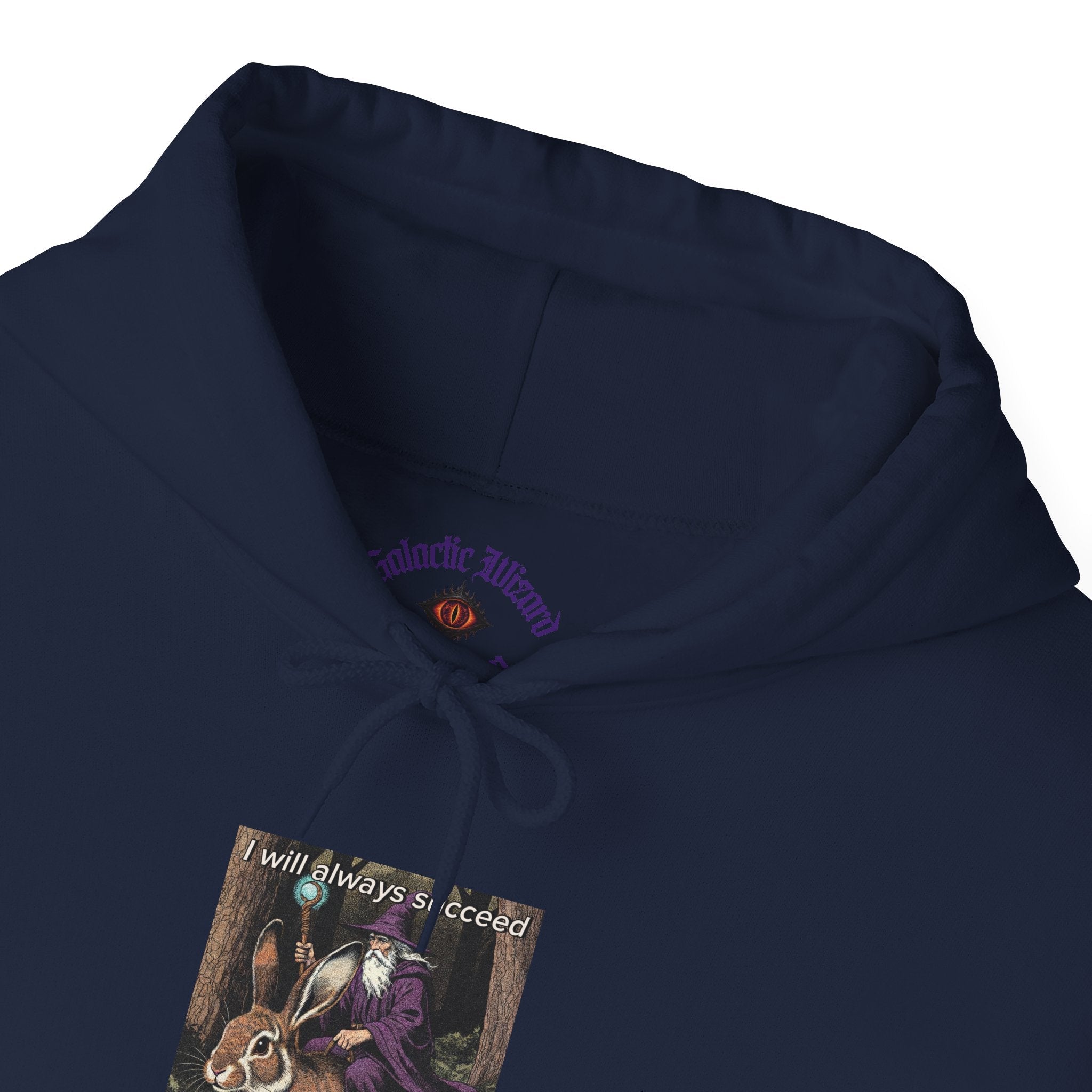 “I will always succeed because I am insane” Galactic Wizard Meme Unisex Hooded Sweatshirt - The Galactic Wizard Emporium - Hoodie