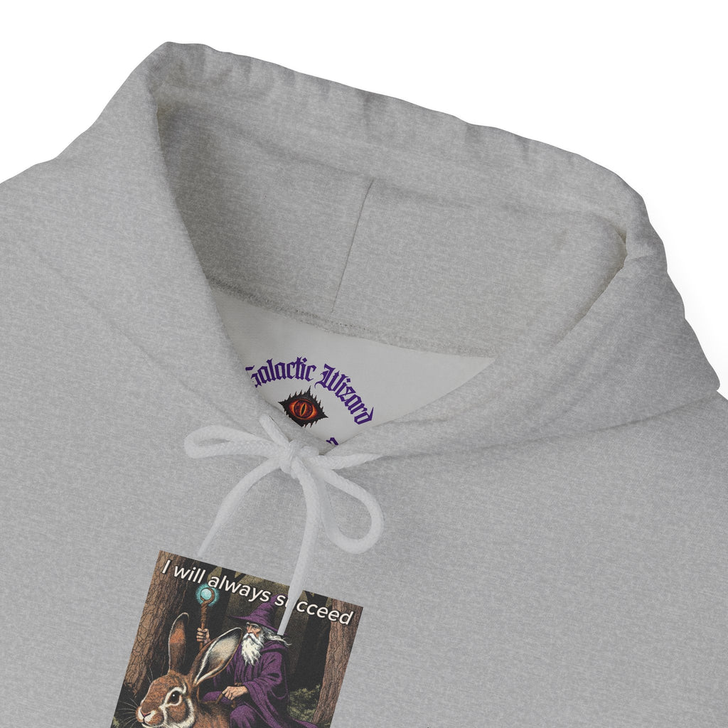 “I will always succeed because I am insane” Galactic Wizard Meme Unisex Hooded Sweatshirt - The Galactic Wizard Emporium - Hoodie