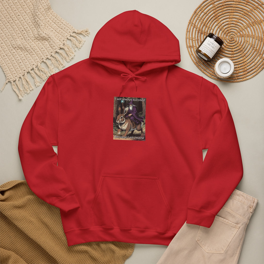 “I will always succeed because I am insane” Galactic Wizard Meme Unisex Hooded Sweatshirt - The Galactic Wizard Emporium - Hoodie