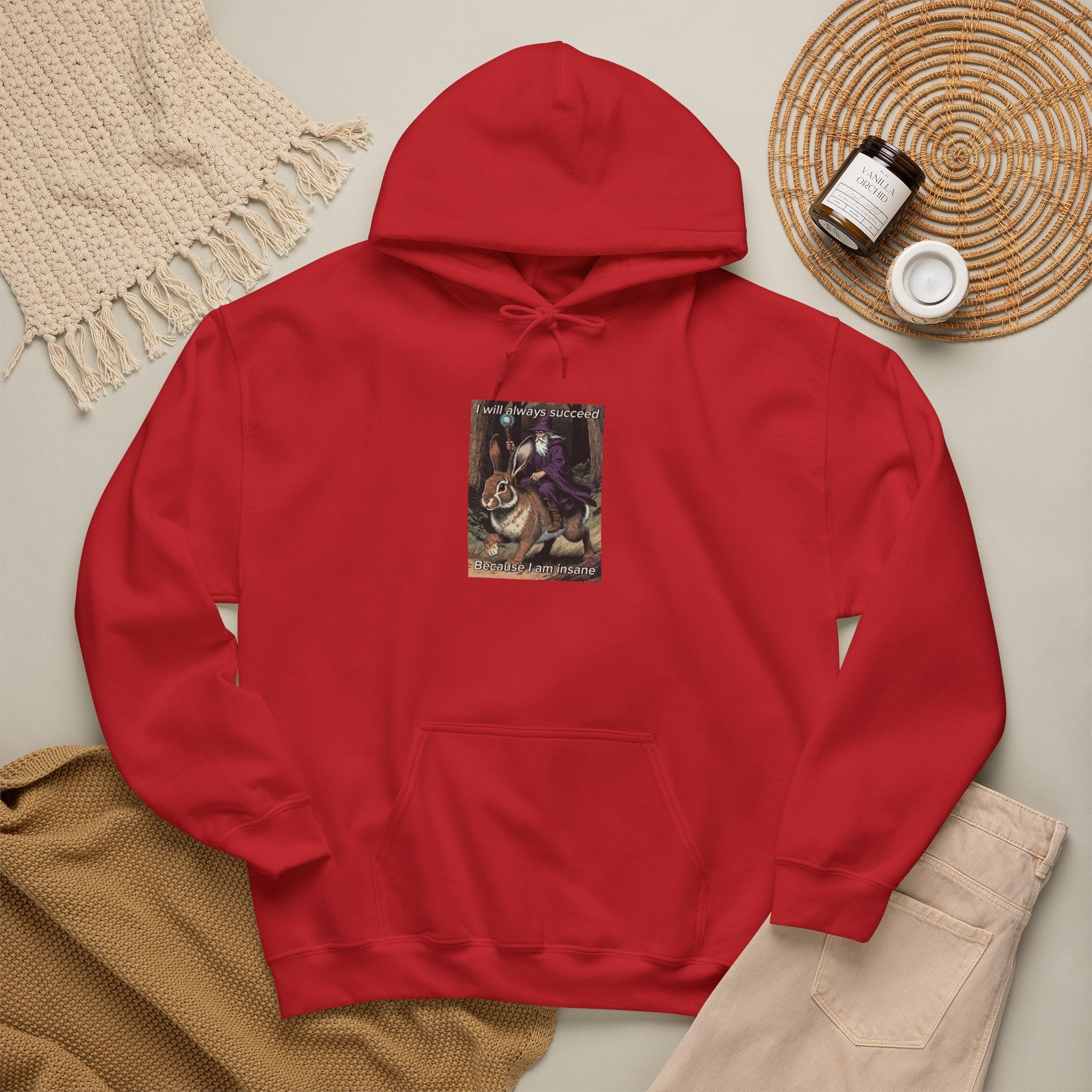 “I will always succeed because I am insane” Galactic Wizard Meme Unisex Hooded Sweatshirt - The Galactic Wizard Emporium - Hoodie