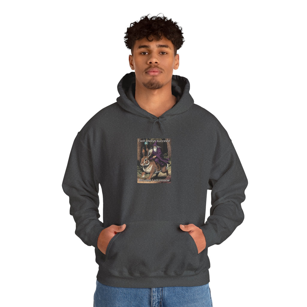 “I will always succeed because I am insane” Galactic Wizard Meme Unisex Hooded Sweatshirt - The Galactic Wizard Emporium - Hoodie