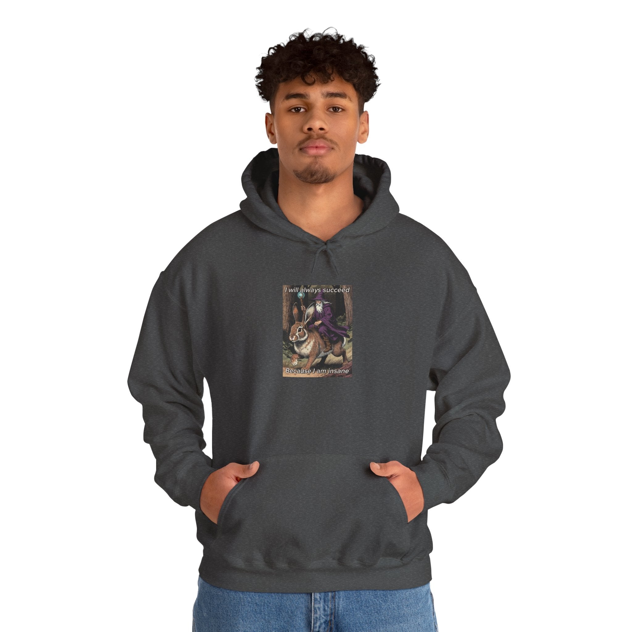 “I will always succeed because I am insane” Galactic Wizard Meme Unisex Hooded Sweatshirt - The Galactic Wizard Emporium - Hoodie