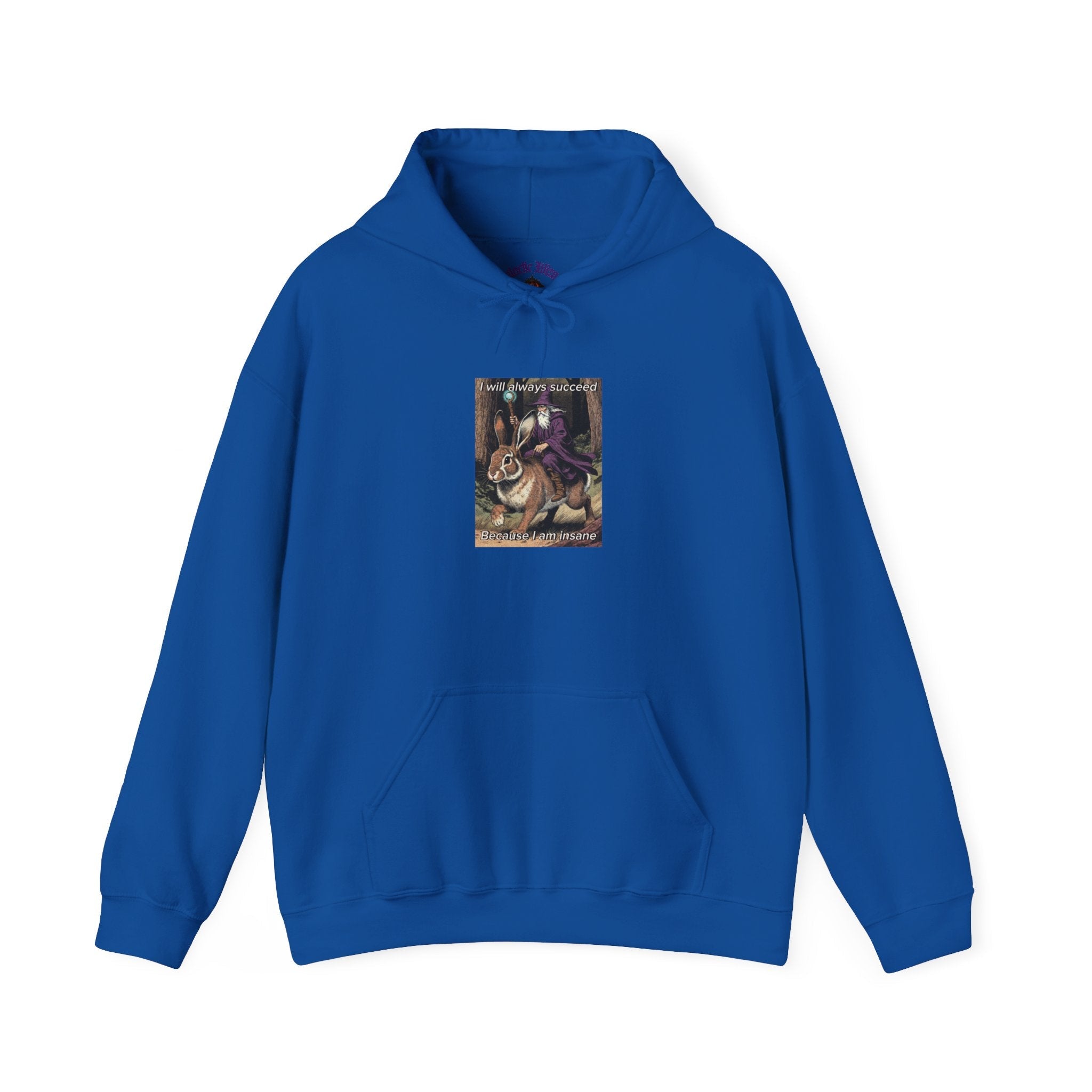“I will always succeed because I am insane” Galactic Wizard Meme Unisex Hooded Sweatshirt - The Galactic Wizard Emporium - Hoodie