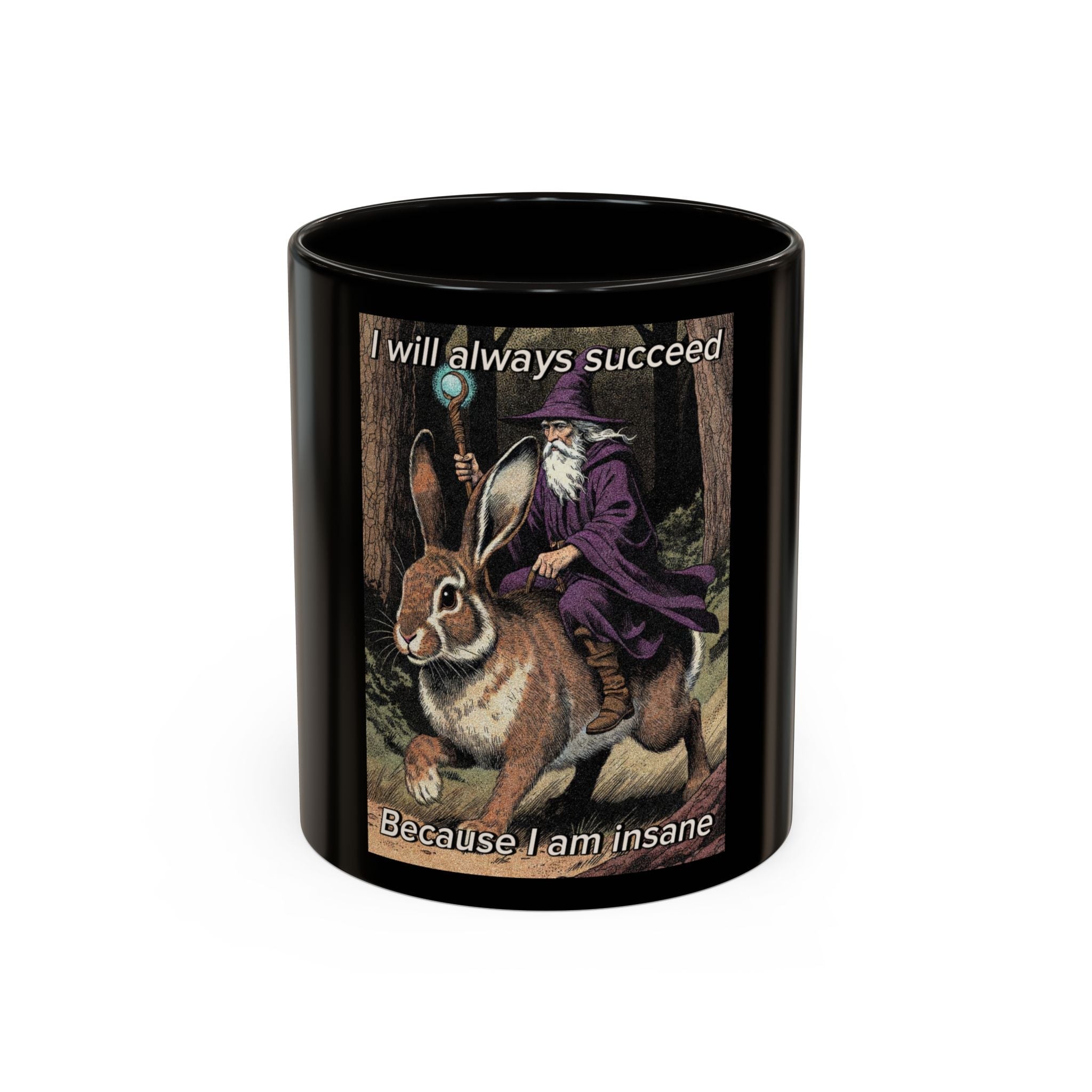 “I will always succeed because I’m insane" (11oz/15oz) Galactic Wizard Meme Mug - The Galactic Wizard Emporium - Mug