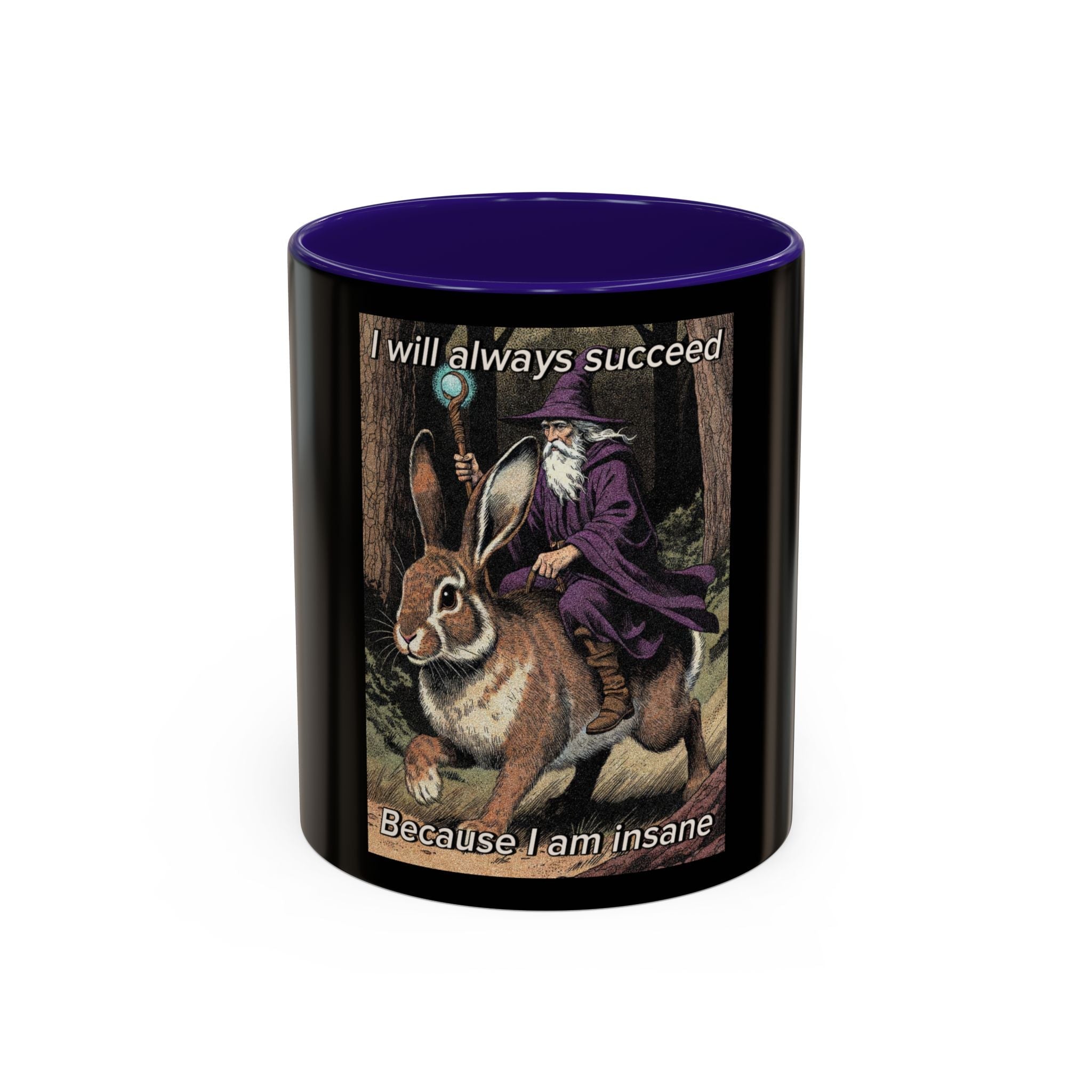 “I will always succeed because I’m insane" (11oz/15oz) Galactic Wizard Meme Mug - The Galactic Wizard Emporium - Mug