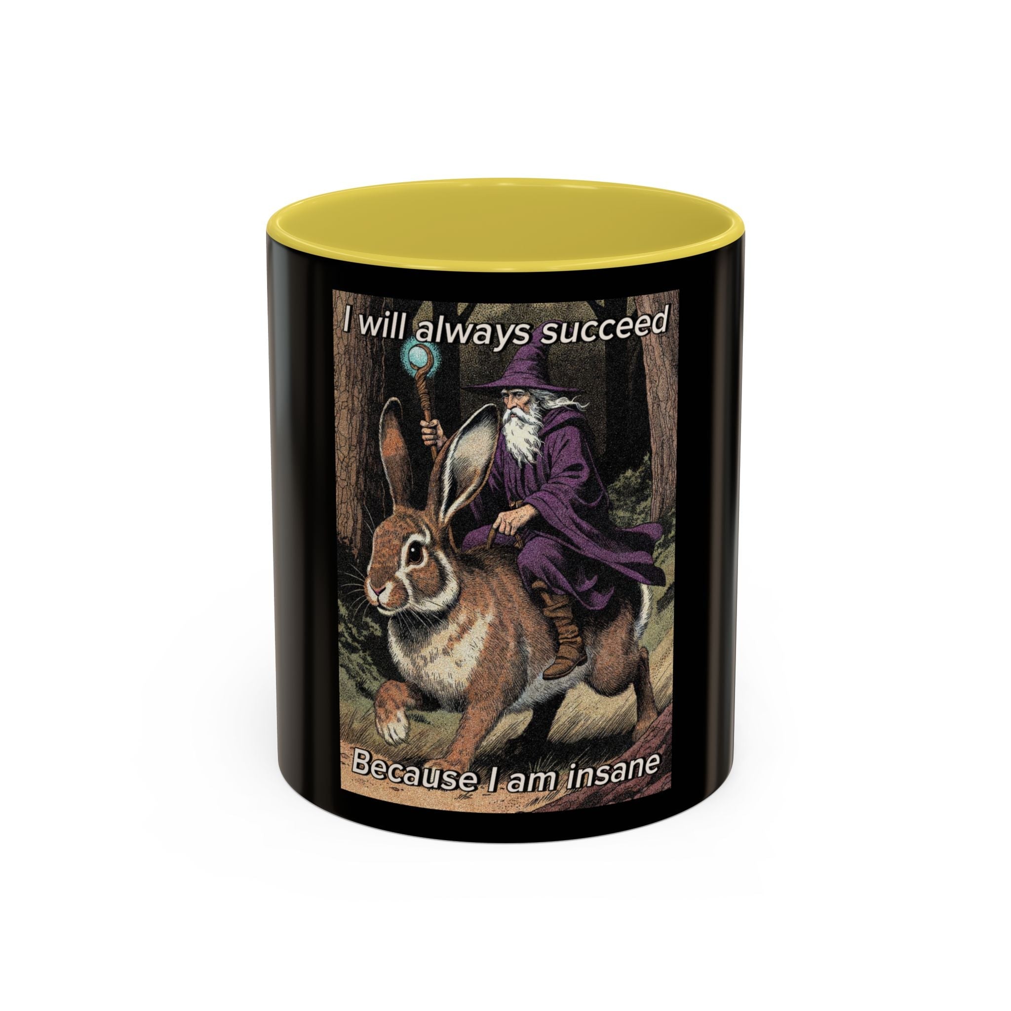“I will always succeed because I’m insane" (11oz/15oz) Galactic Wizard Meme Mug - The Galactic Wizard Emporium - Mug