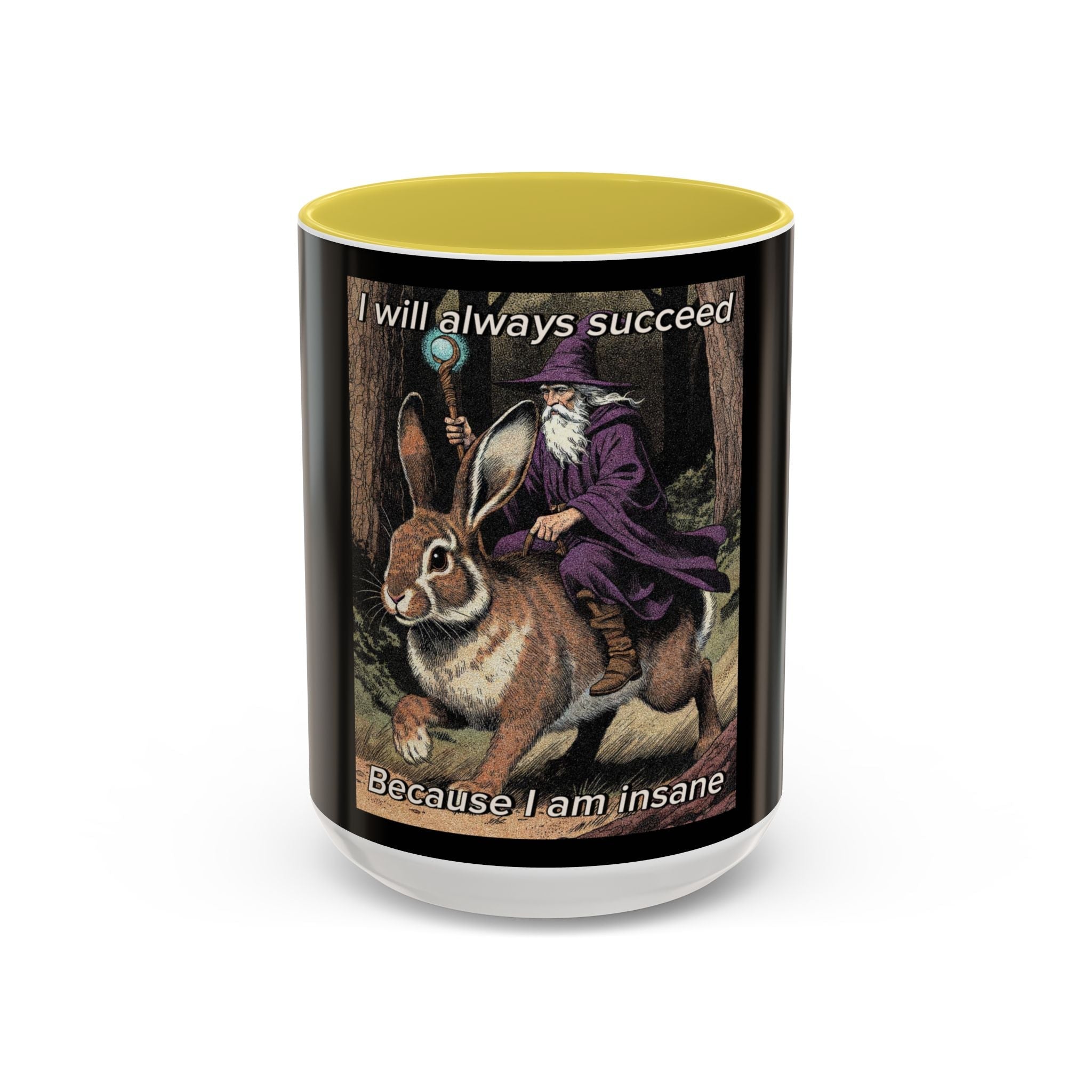 “I will always succeed because I’m insane" (11oz/15oz) Galactic Wizard Meme Mug - The Galactic Wizard Emporium - Mug