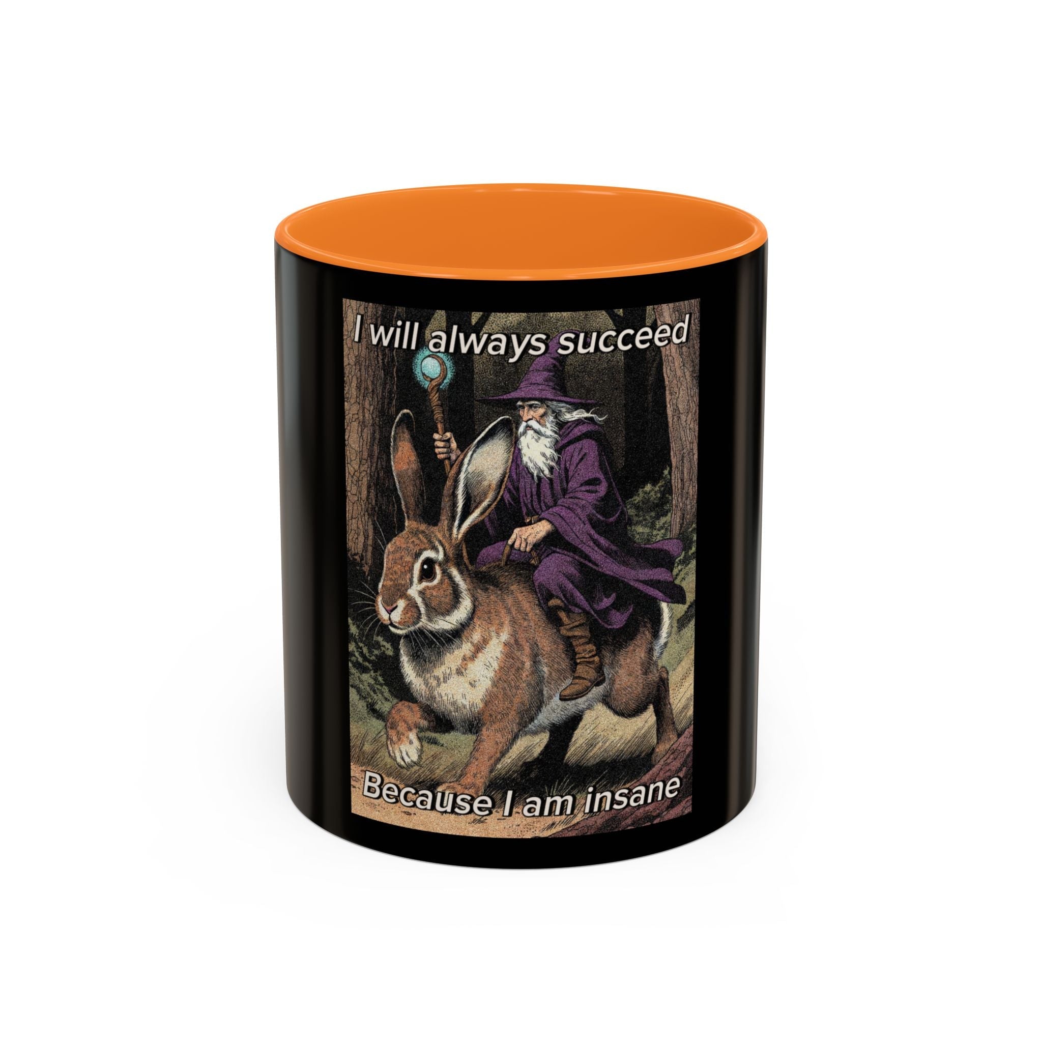 “I will always succeed because I’m insane" (11oz/15oz) Galactic Wizard Meme Mug - The Galactic Wizard Emporium - Mug