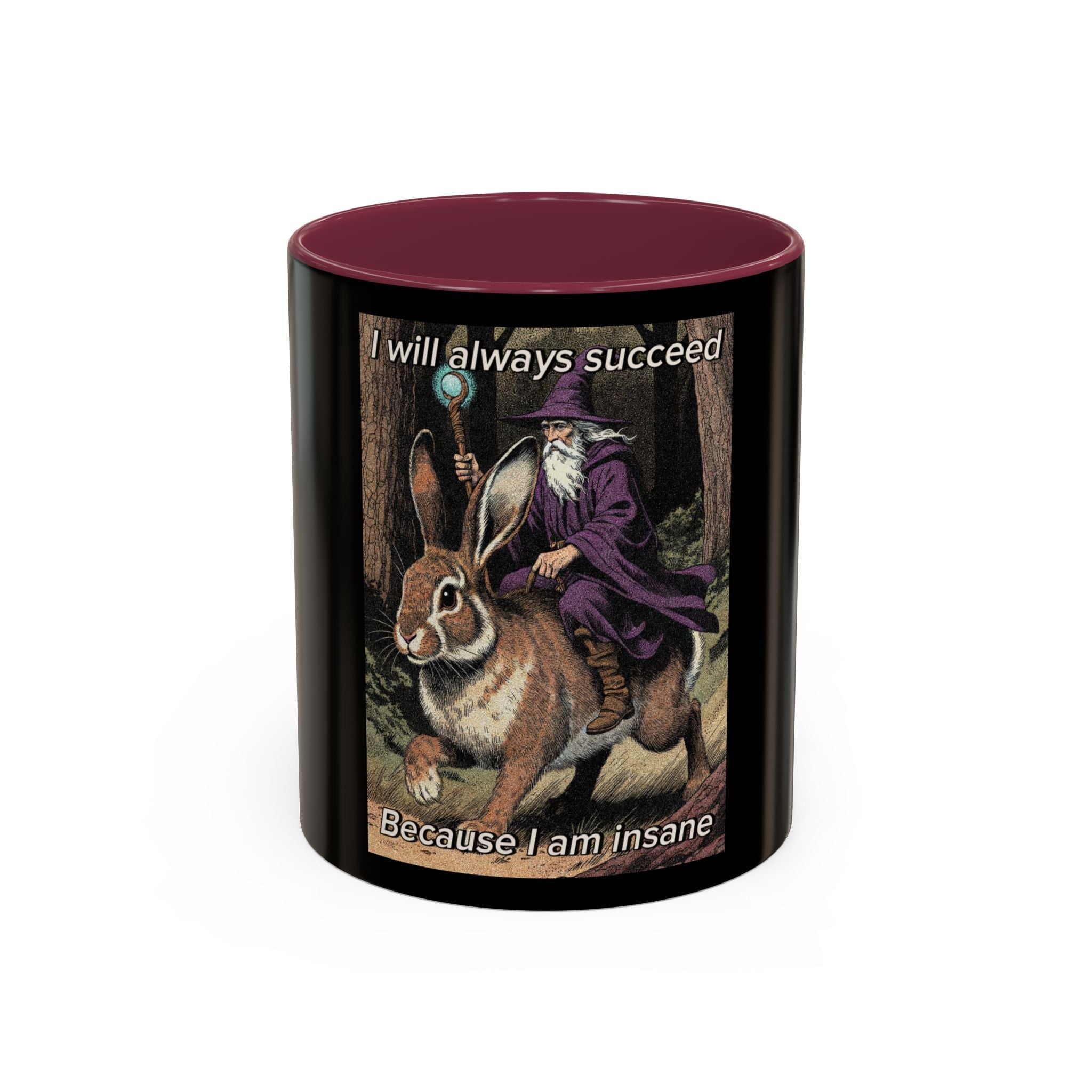 “I will always succeed because I’m insane" (11oz/15oz) Galactic Wizard Meme Mug - The Galactic Wizard Emporium - Mug