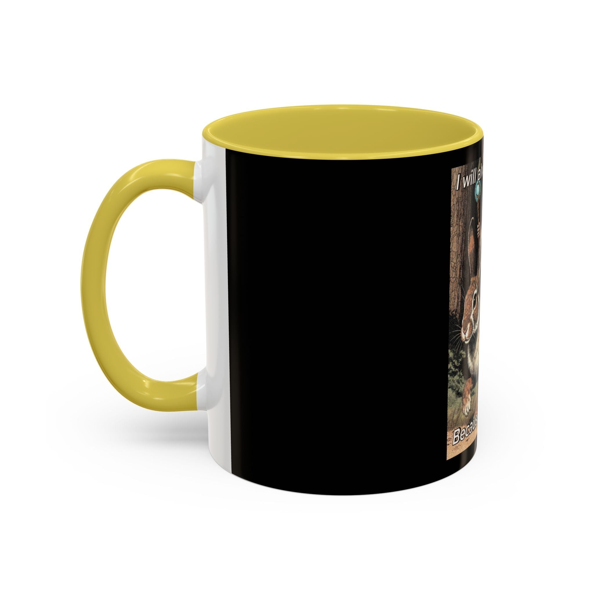 “I will always succeed because I’m insane" (11oz/15oz) Galactic Wizard Meme Mug - The Galactic Wizard Emporium - Mug