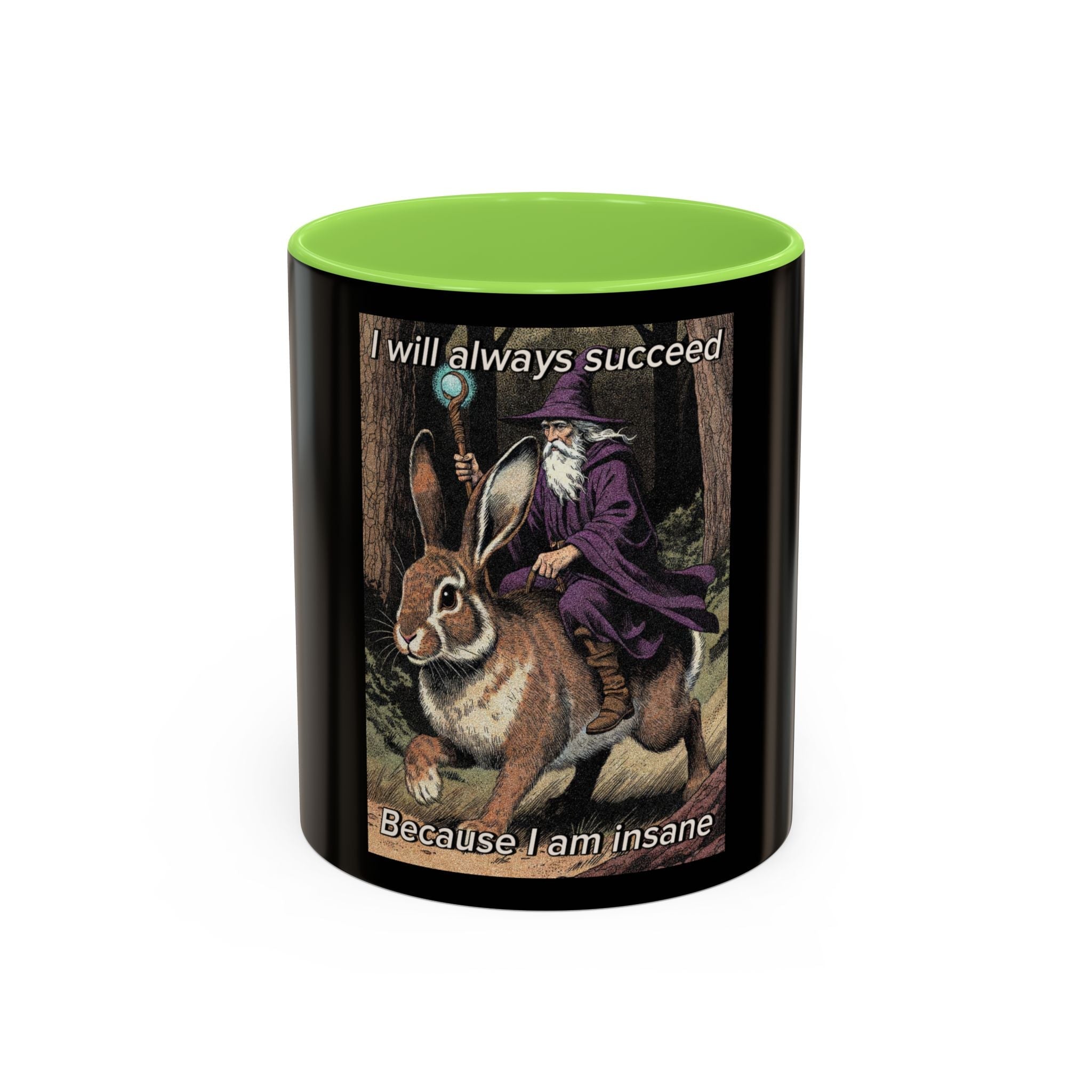 “I will always succeed because I’m insane" (11oz/15oz) Galactic Wizard Meme Mug - The Galactic Wizard Emporium - Mug
