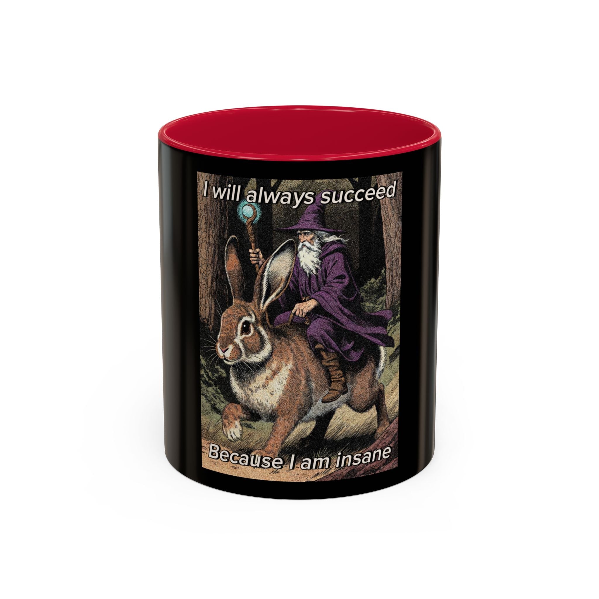 “I will always succeed because I’m insane" (11oz/15oz) Galactic Wizard Meme Mug - The Galactic Wizard Emporium - Mug