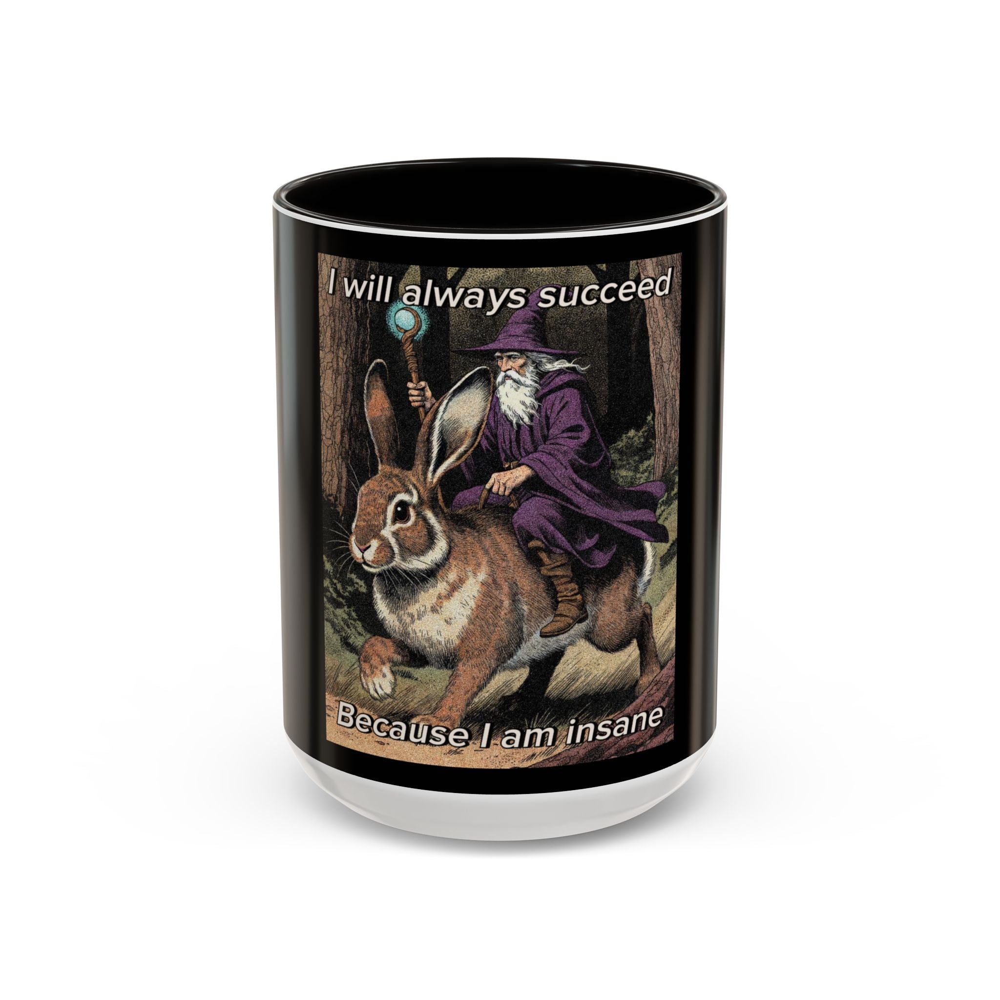 “I will always succeed because I’m insane" (11oz/15oz) Galactic Wizard Meme Mug - The Galactic Wizard Emporium - Mug