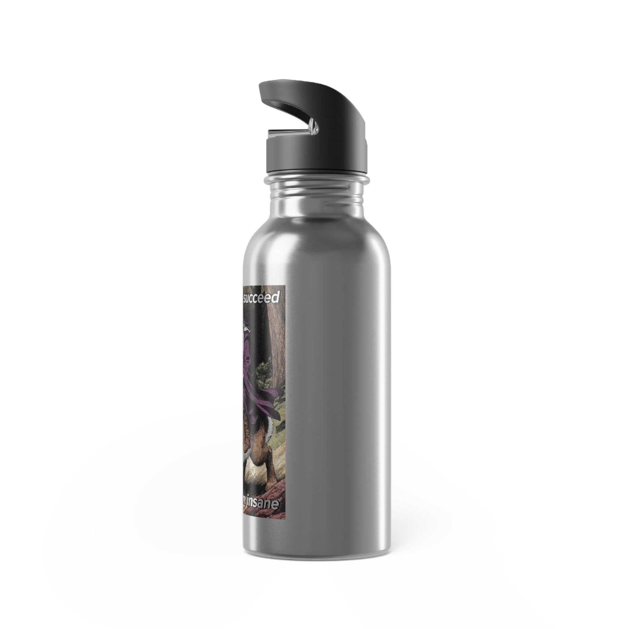 “I will always succeed because I’m insane” 20oz Stainless Steel Straw Bottle Galactic Wizard - The Galactic Wizard Emporium - Mug