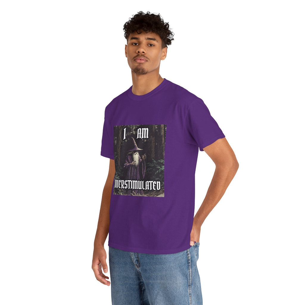 “Overstimulated” Galactic Wizard Meme Heavyweight Cotton T-Shirt - The Galactic Wizard Emporium - T-Shirt
