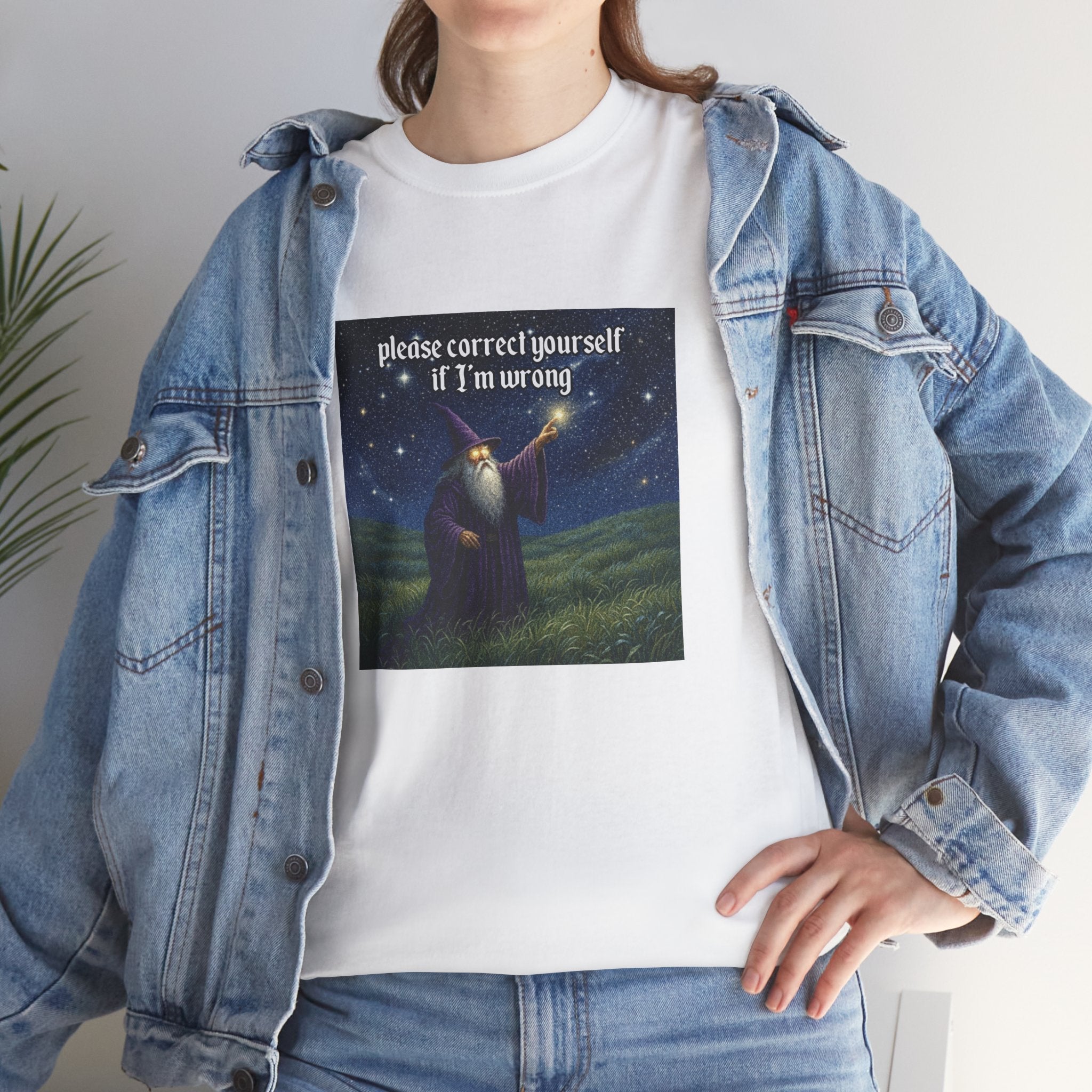 “Please Correct Yourself” Galactic Wizard Meme Heavyweight Cotton T-Shirt - The Galactic Wizard Emporium - T-Shirt