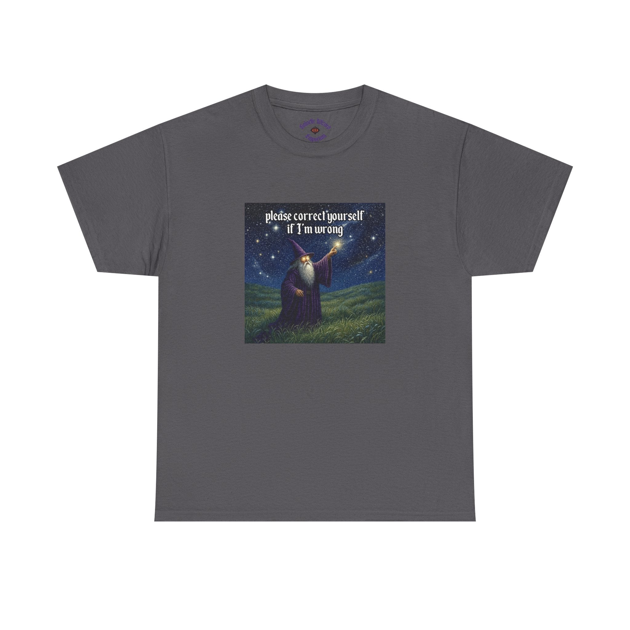 “Please Correct Yourself” Galactic Wizard Meme Heavyweight Cotton T-Shirt - The Galactic Wizard Emporium - T-Shirt