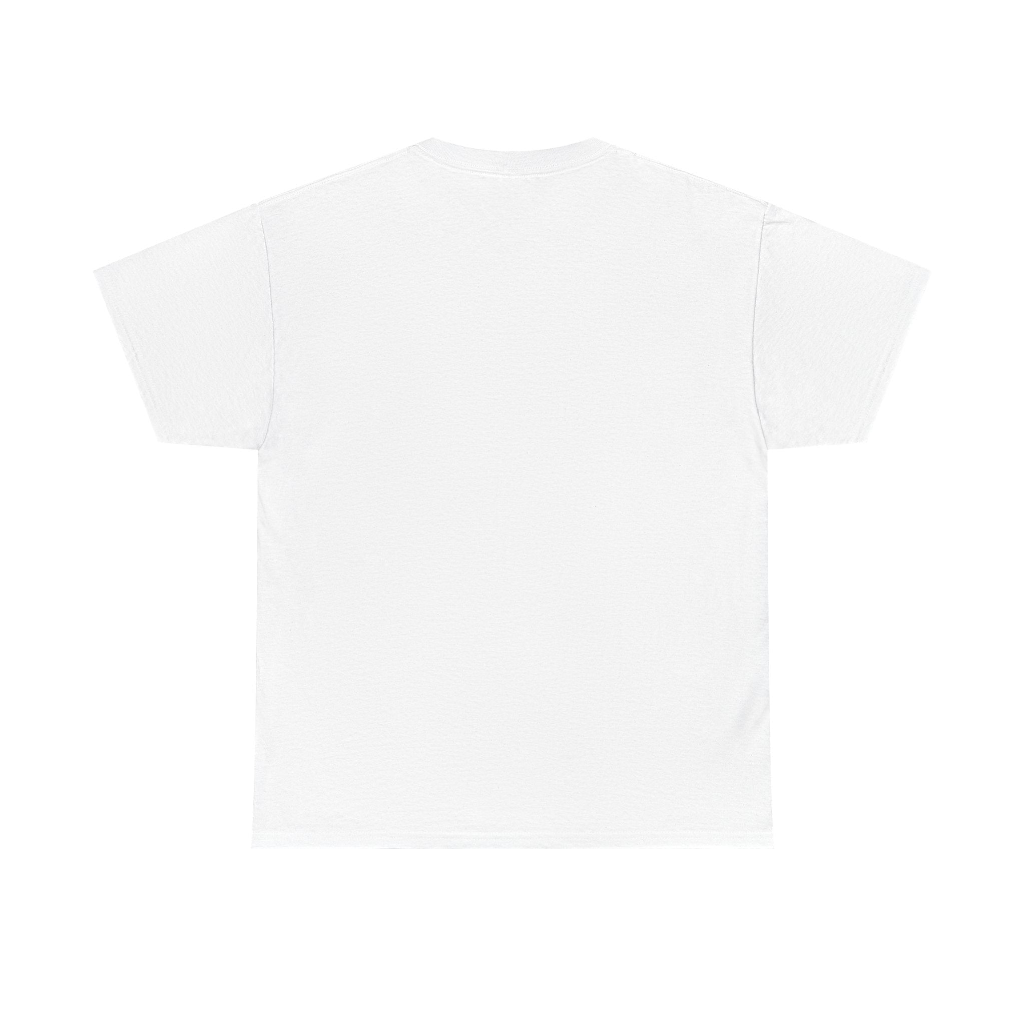 “Please Correct Yourself” Galactic Wizard Meme Heavyweight Cotton T-Shirt - The Galactic Wizard Emporium - T-Shirt
