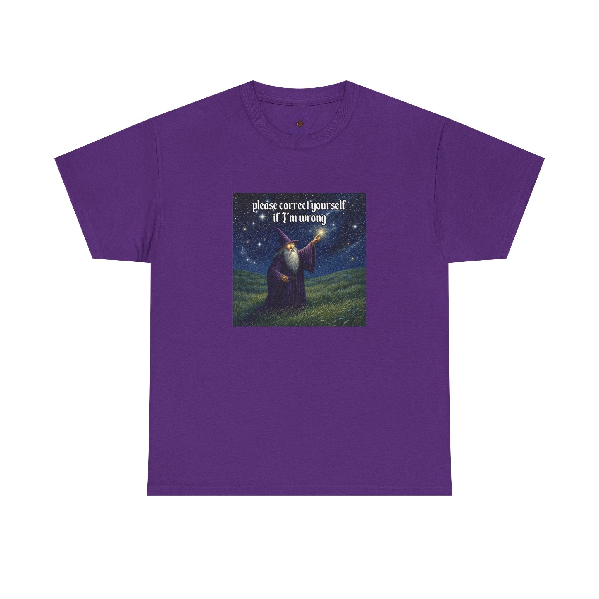 “Please Correct Yourself” Galactic Wizard Meme Heavyweight Cotton T-Shirt - The Galactic Wizard Emporium - T-Shirt