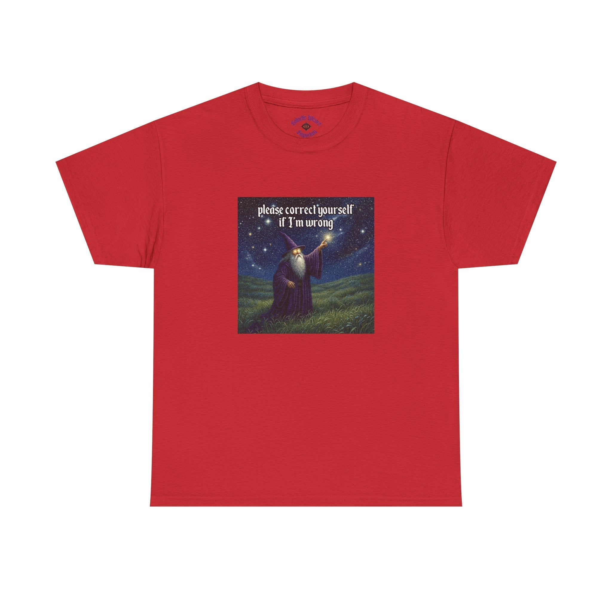 “Please Correct Yourself” Galactic Wizard Meme Heavyweight Cotton T-Shirt - The Galactic Wizard Emporium - T-Shirt