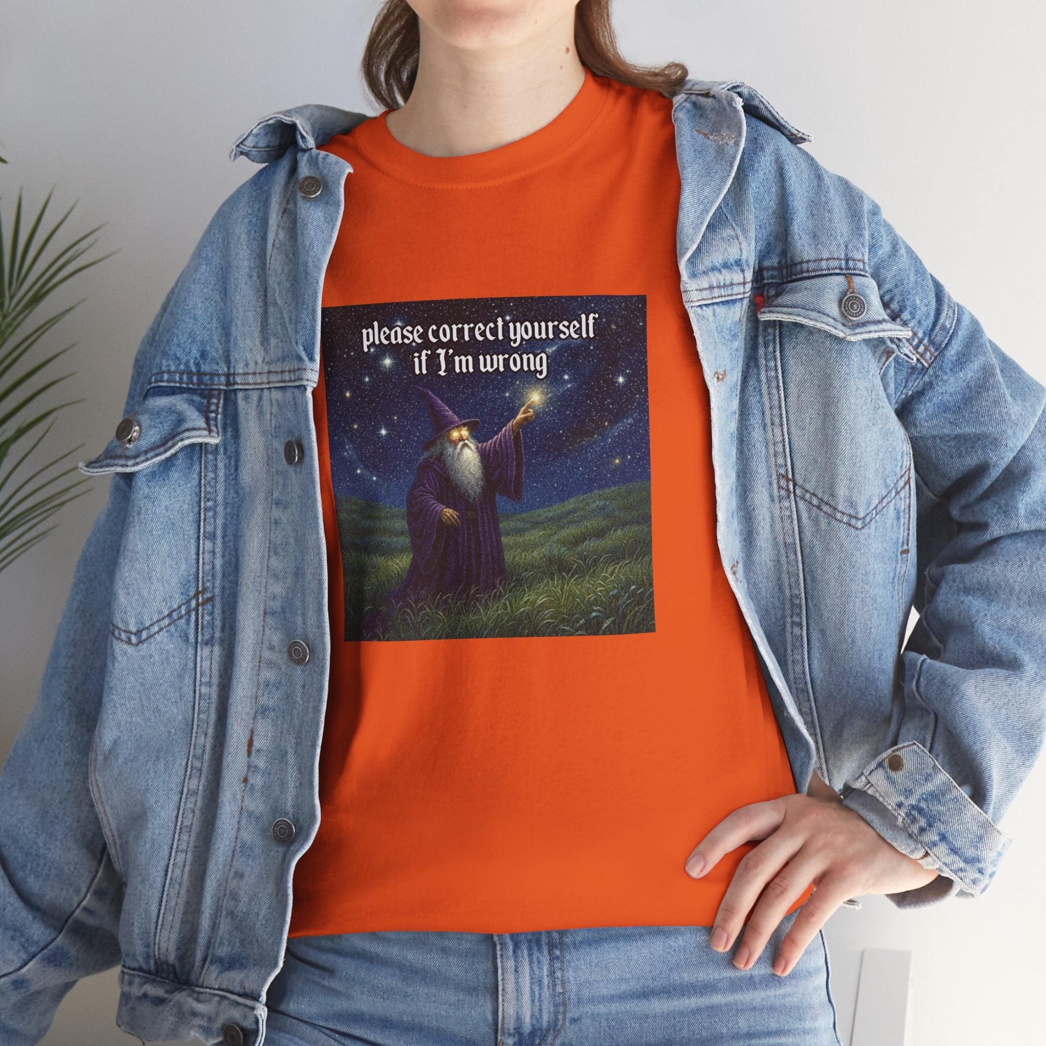 “Please Correct Yourself” Galactic Wizard Meme Heavyweight Cotton T-Shirt - The Galactic Wizard Emporium - T-Shirt