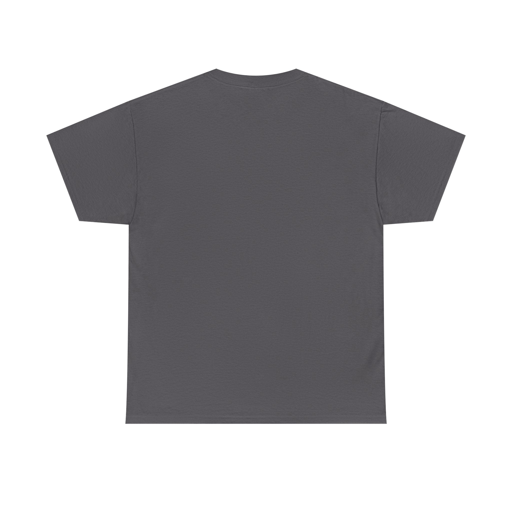“Please Correct Yourself” Galactic Wizard Meme Heavyweight Cotton T-Shirt - The Galactic Wizard Emporium - T-Shirt