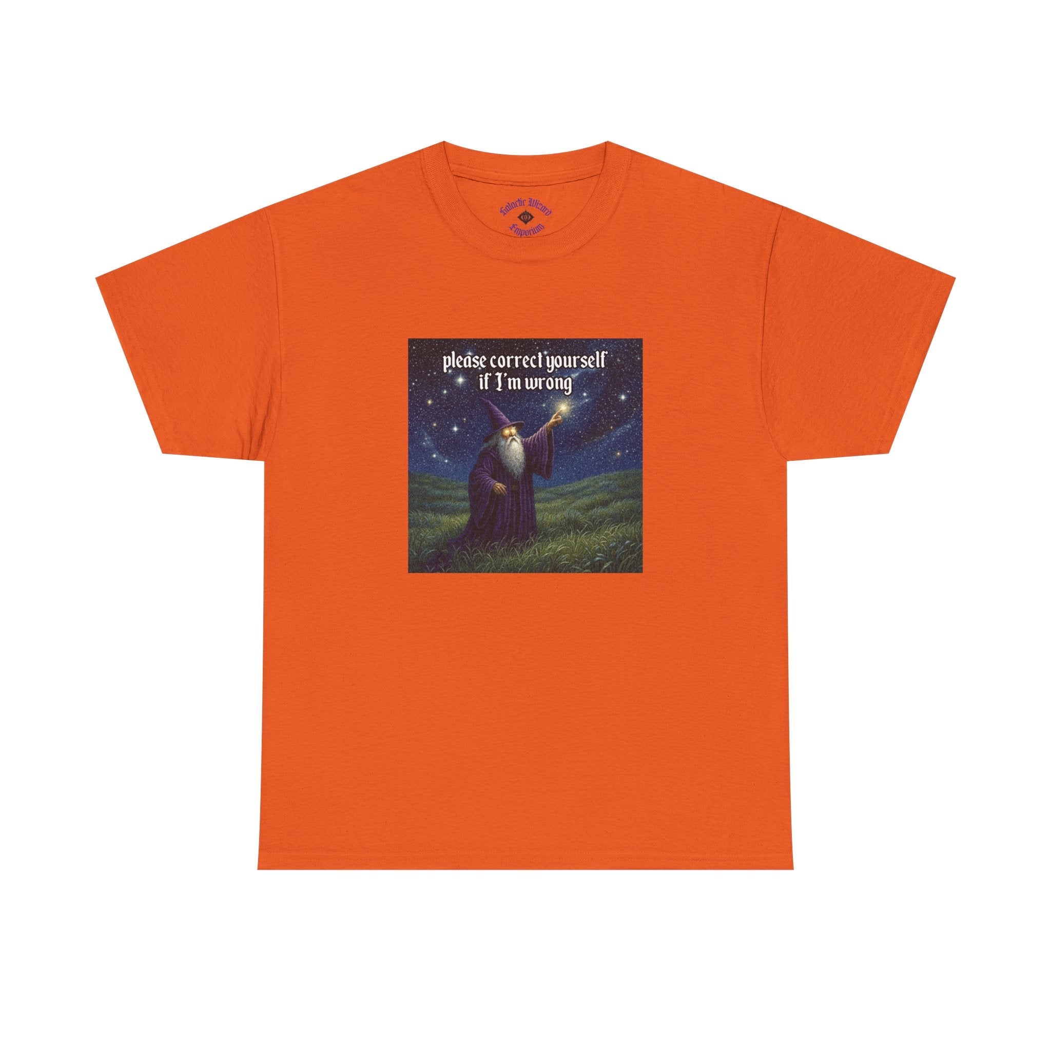 “Please Correct Yourself” Galactic Wizard Meme Heavyweight Cotton T-Shirt - The Galactic Wizard Emporium - T-Shirt