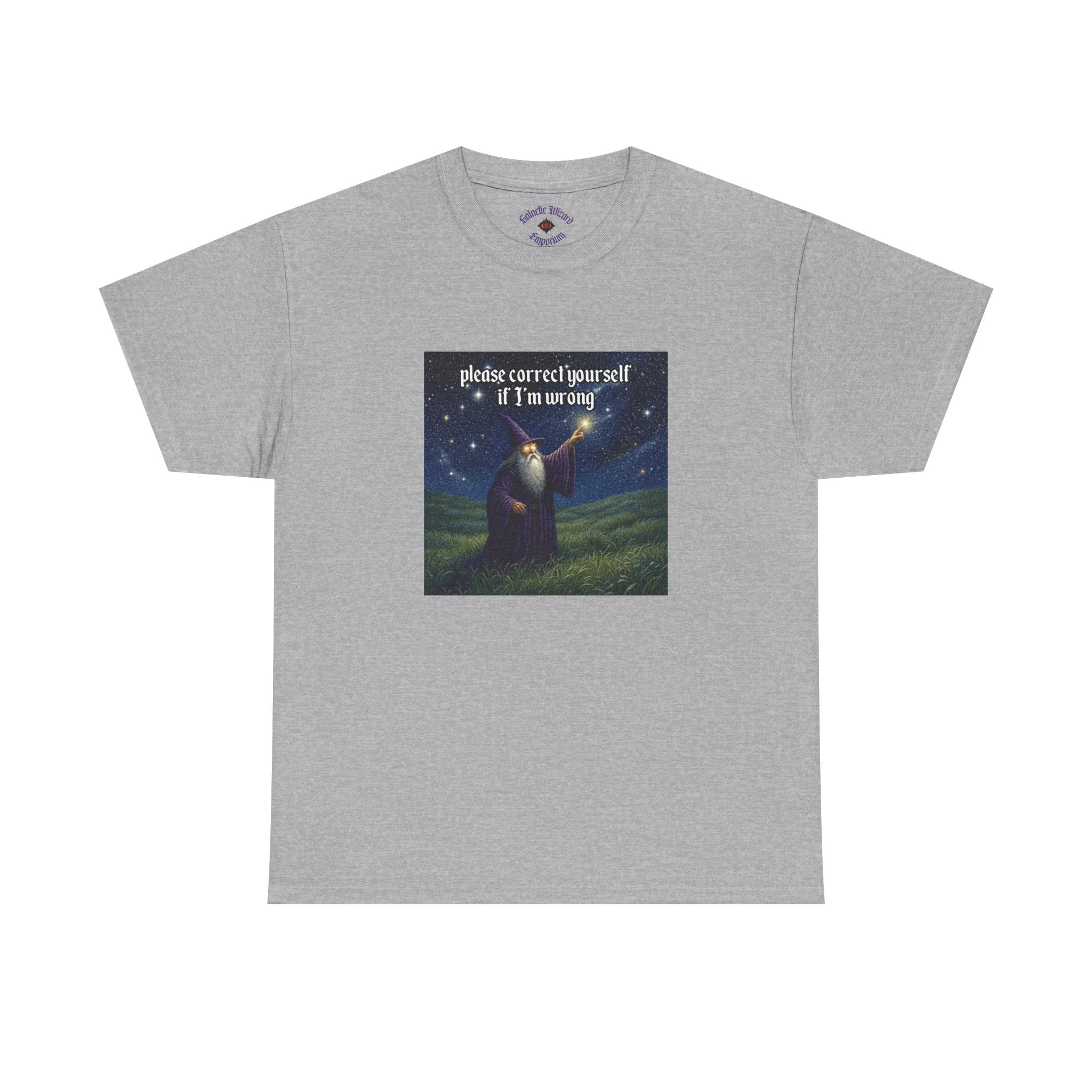 “Please Correct Yourself” Galactic Wizard Meme Heavyweight Cotton T-Shirt - The Galactic Wizard Emporium - T-Shirt