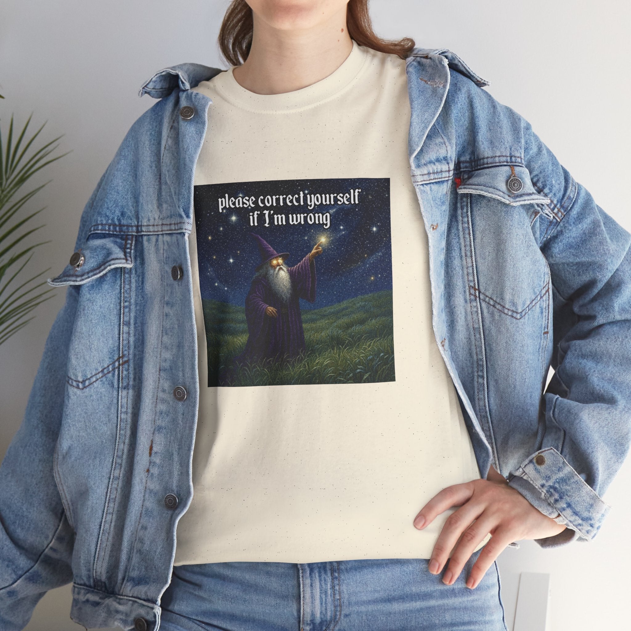 “Please Correct Yourself” Galactic Wizard Meme Heavyweight Cotton T-Shirt - The Galactic Wizard Emporium - T-Shirt