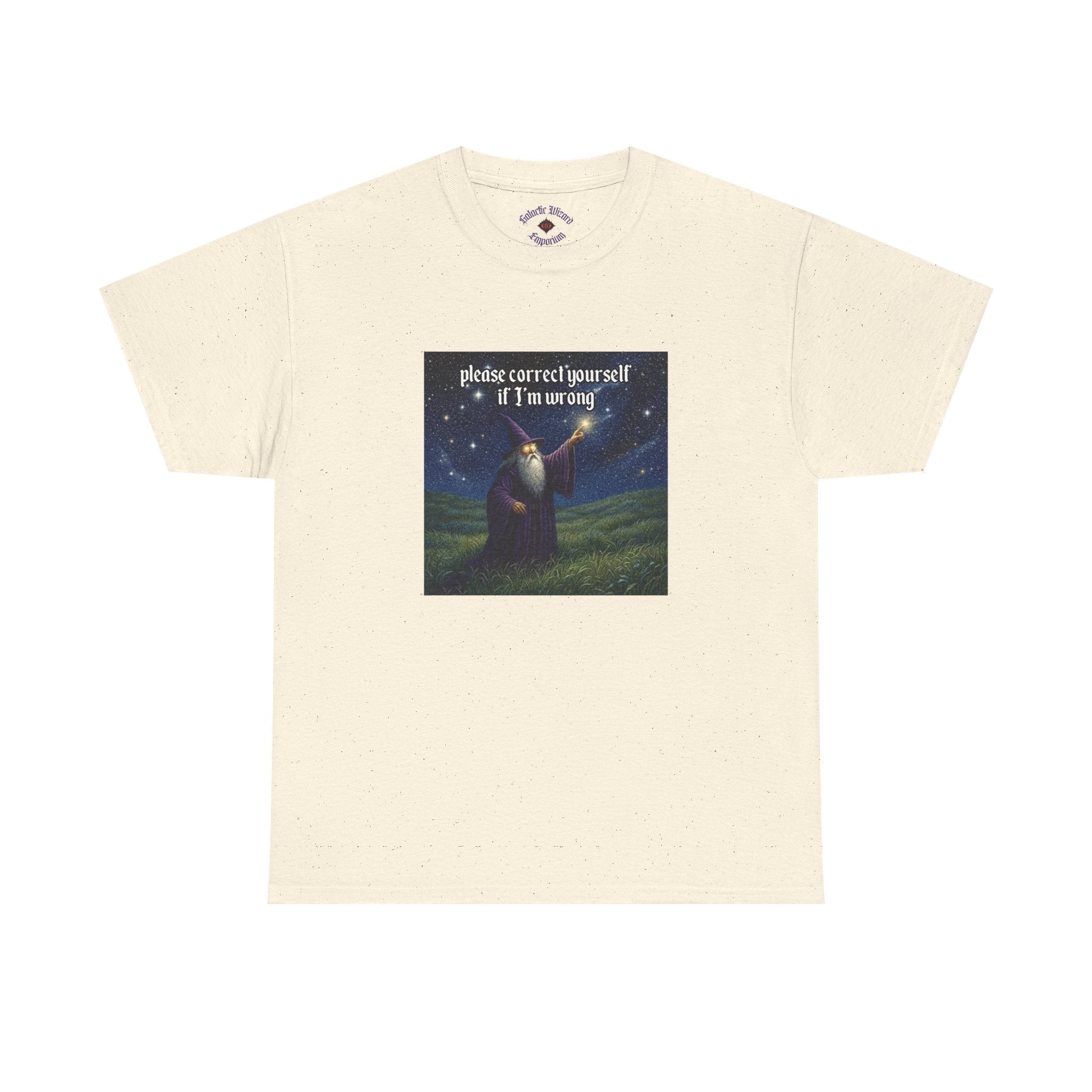 “Please Correct Yourself” Galactic Wizard Meme Heavyweight Cotton T-Shirt - The Galactic Wizard Emporium - T-Shirt