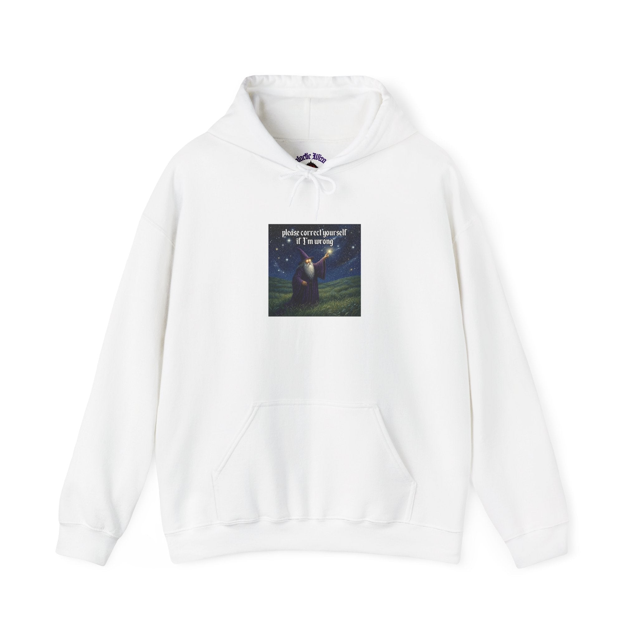 “Please correct yourself” Galactic Wizard Meme Unisex Hooded Sweatshirt - The Galactic Wizard Emporium - Hoodie
