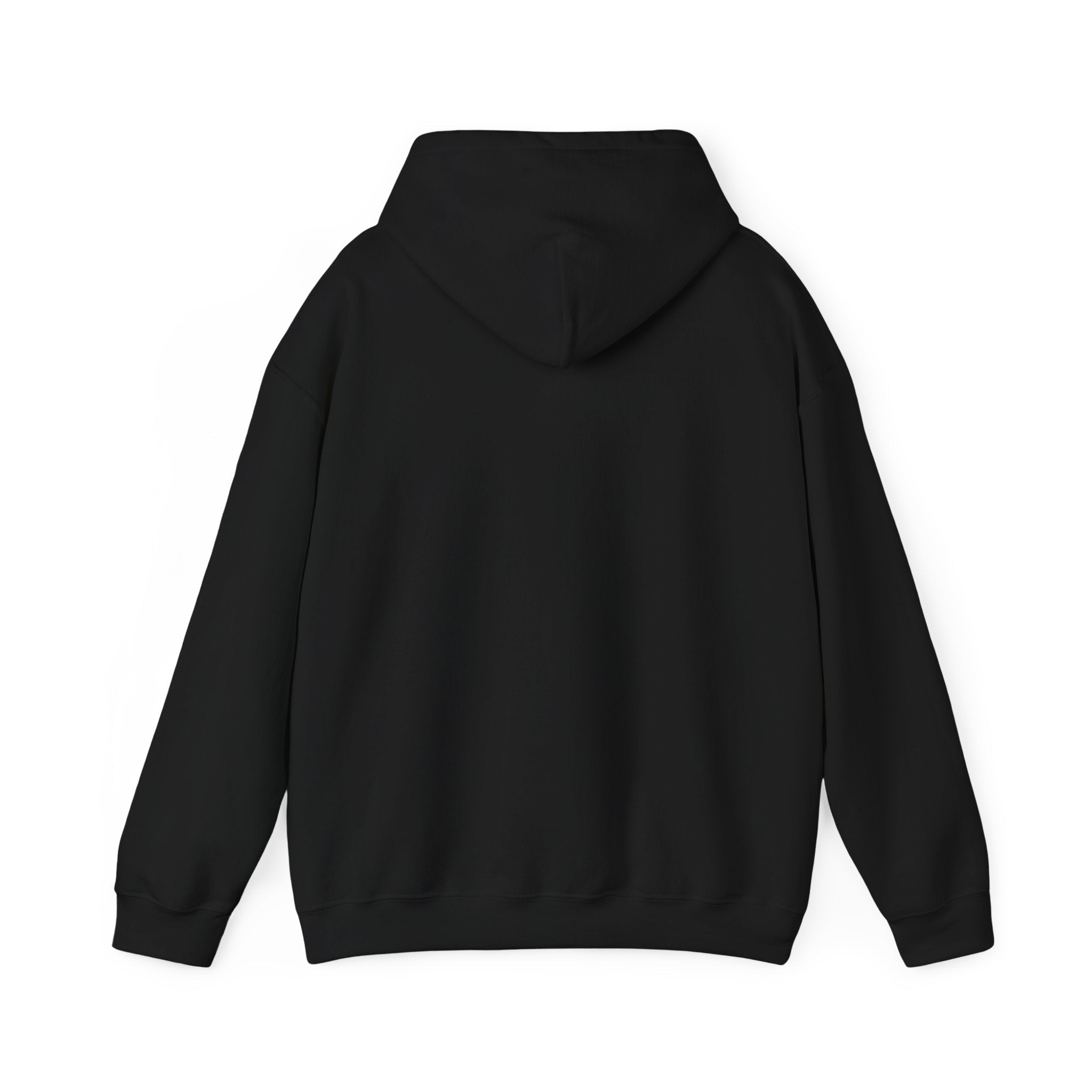 “Please correct yourself” Galactic Wizard Meme Unisex Hooded Sweatshirt - The Galactic Wizard Emporium - Hoodie