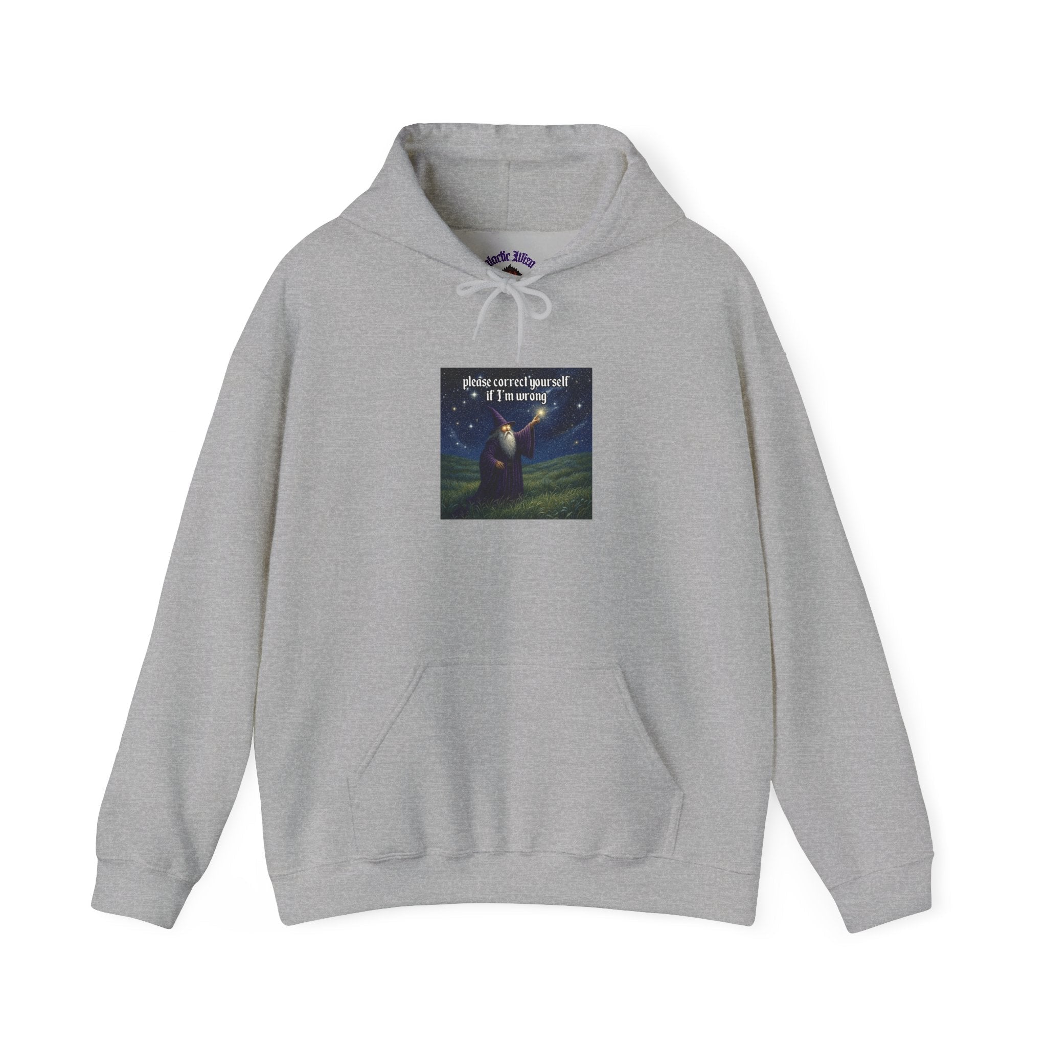 “Please correct yourself” Galactic Wizard Meme Unisex Hooded Sweatshirt - The Galactic Wizard Emporium - Hoodie