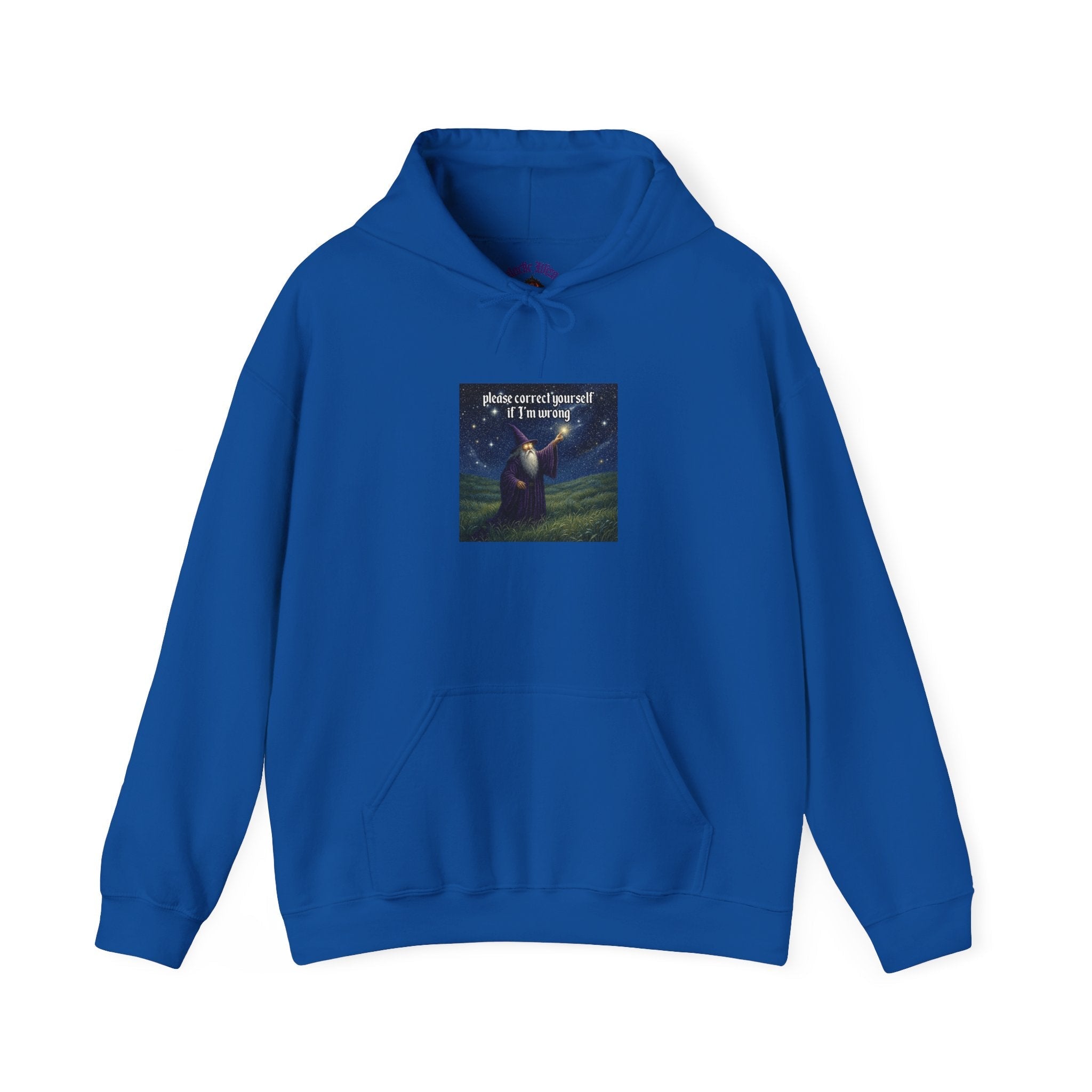 “Please correct yourself” Galactic Wizard Meme Unisex Hooded Sweatshirt - The Galactic Wizard Emporium - Hoodie