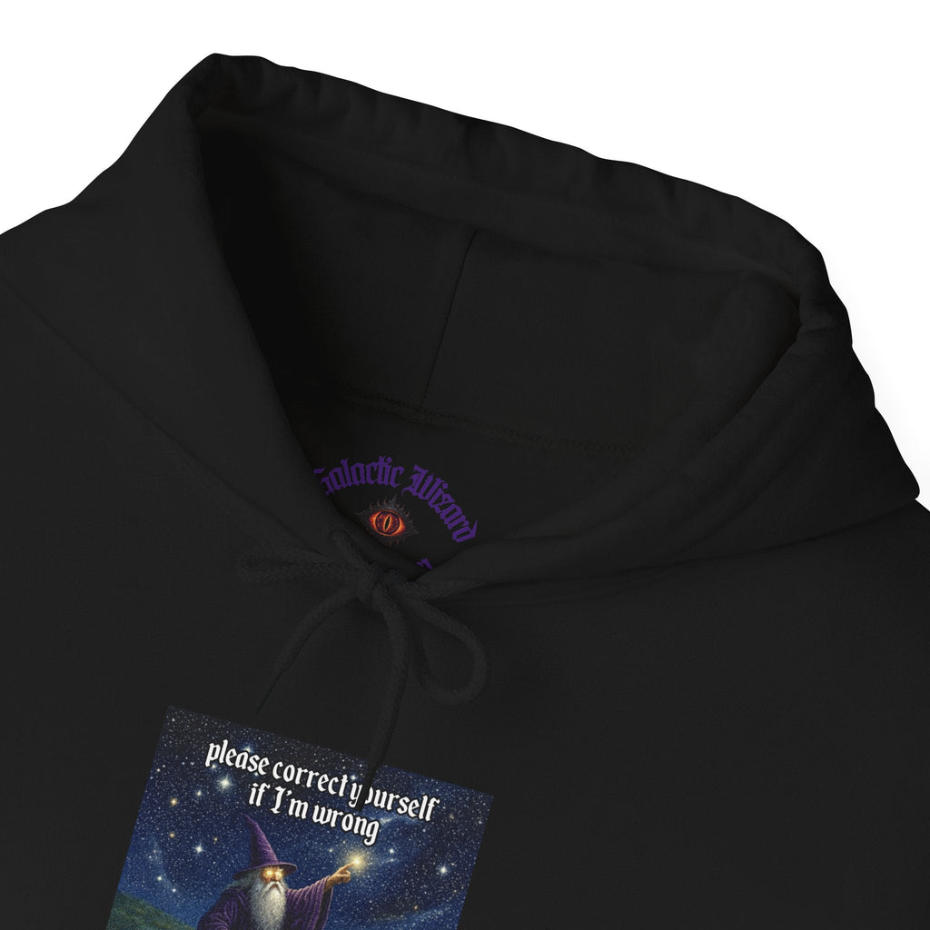 “Please correct yourself” Galactic Wizard Meme Unisex Hooded Sweatshirt - The Galactic Wizard Emporium - Hoodie