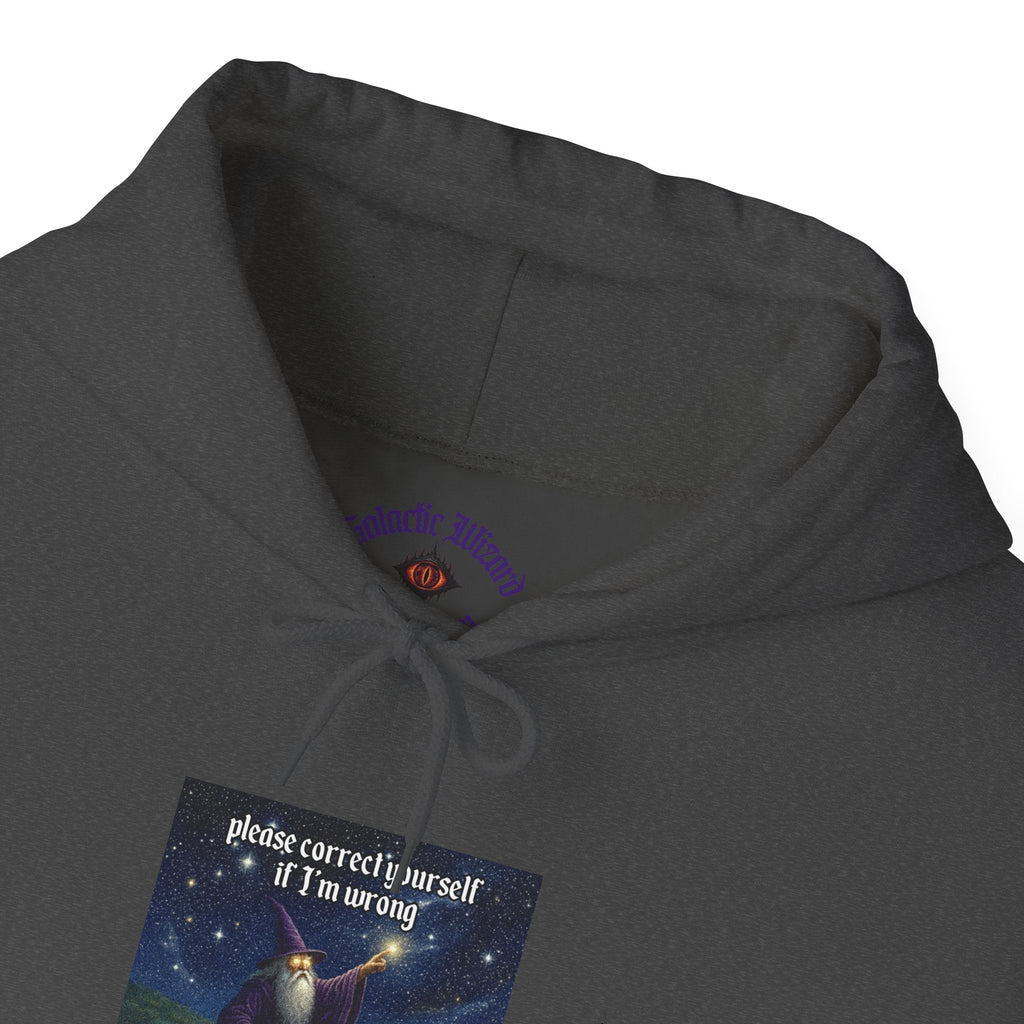 “Please correct yourself” Galactic Wizard Meme Unisex Hooded Sweatshirt - The Galactic Wizard Emporium - Hoodie