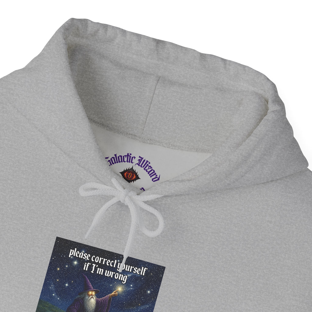 “Please correct yourself” Galactic Wizard Meme Unisex Hooded Sweatshirt - The Galactic Wizard Emporium - Hoodie