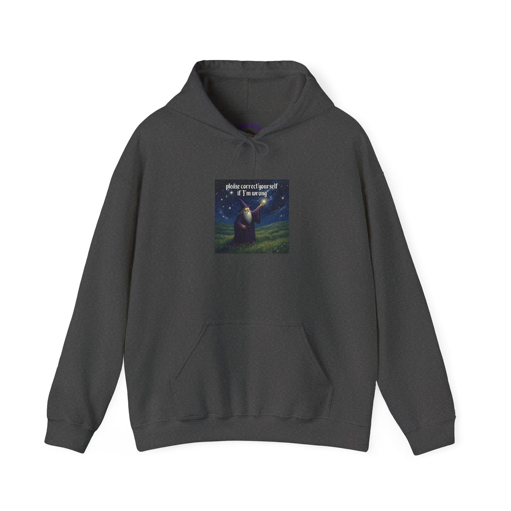 “Please correct yourself” Galactic Wizard Meme Unisex Hooded Sweatshirt - The Galactic Wizard Emporium - Hoodie