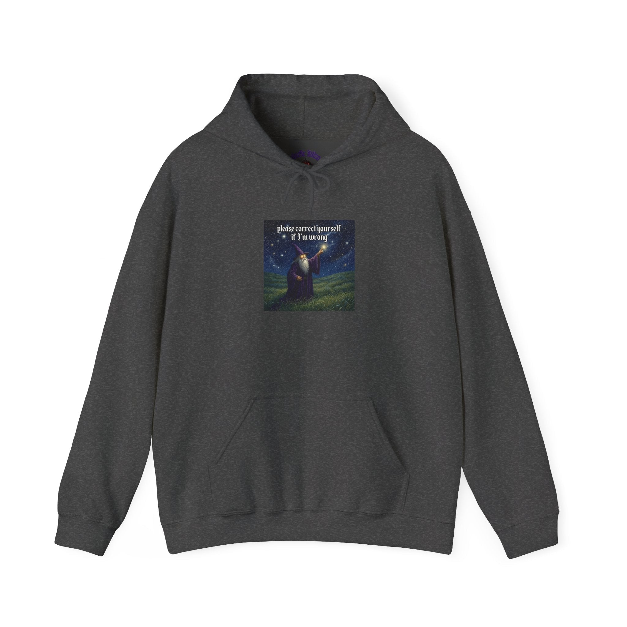 “Please correct yourself” Galactic Wizard Meme Unisex Hooded Sweatshirt - The Galactic Wizard Emporium - Hoodie