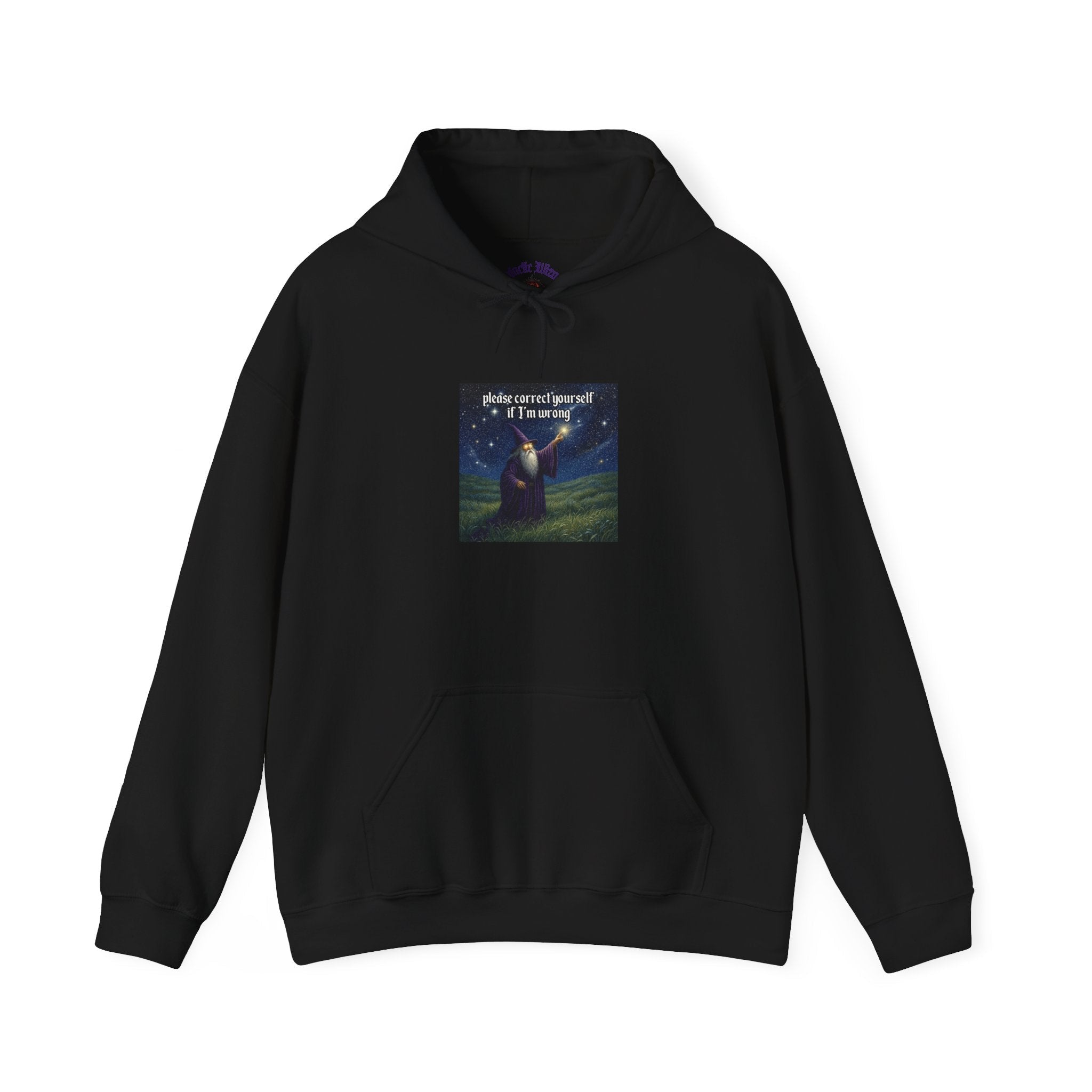 “Please correct yourself” Galactic Wizard Meme Unisex Hooded Sweatshirt - The Galactic Wizard Emporium - Hoodie