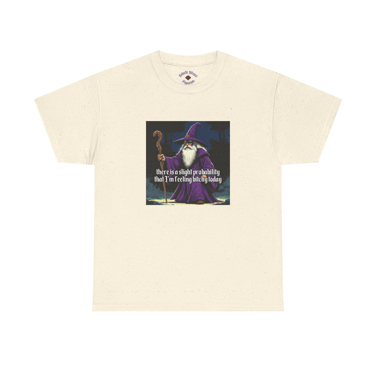 “Slight probability” Galactic Wizard Meme Heavyweight Cotton T-Shirt - The Galactic Wizard Emporium - T-Shirt