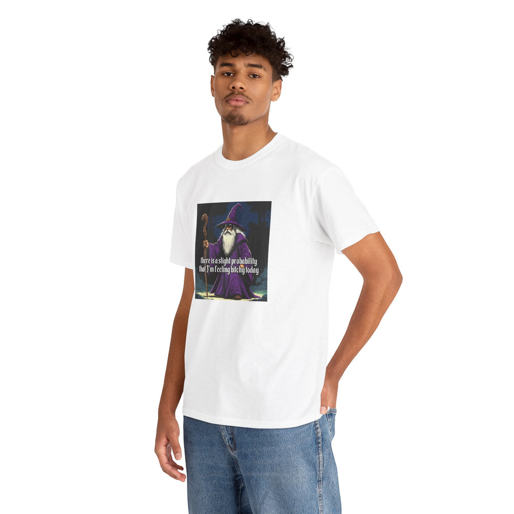 “Slight probability” Galactic Wizard Meme Heavyweight Cotton T-Shirt - The Galactic Wizard Emporium - T-Shirt
