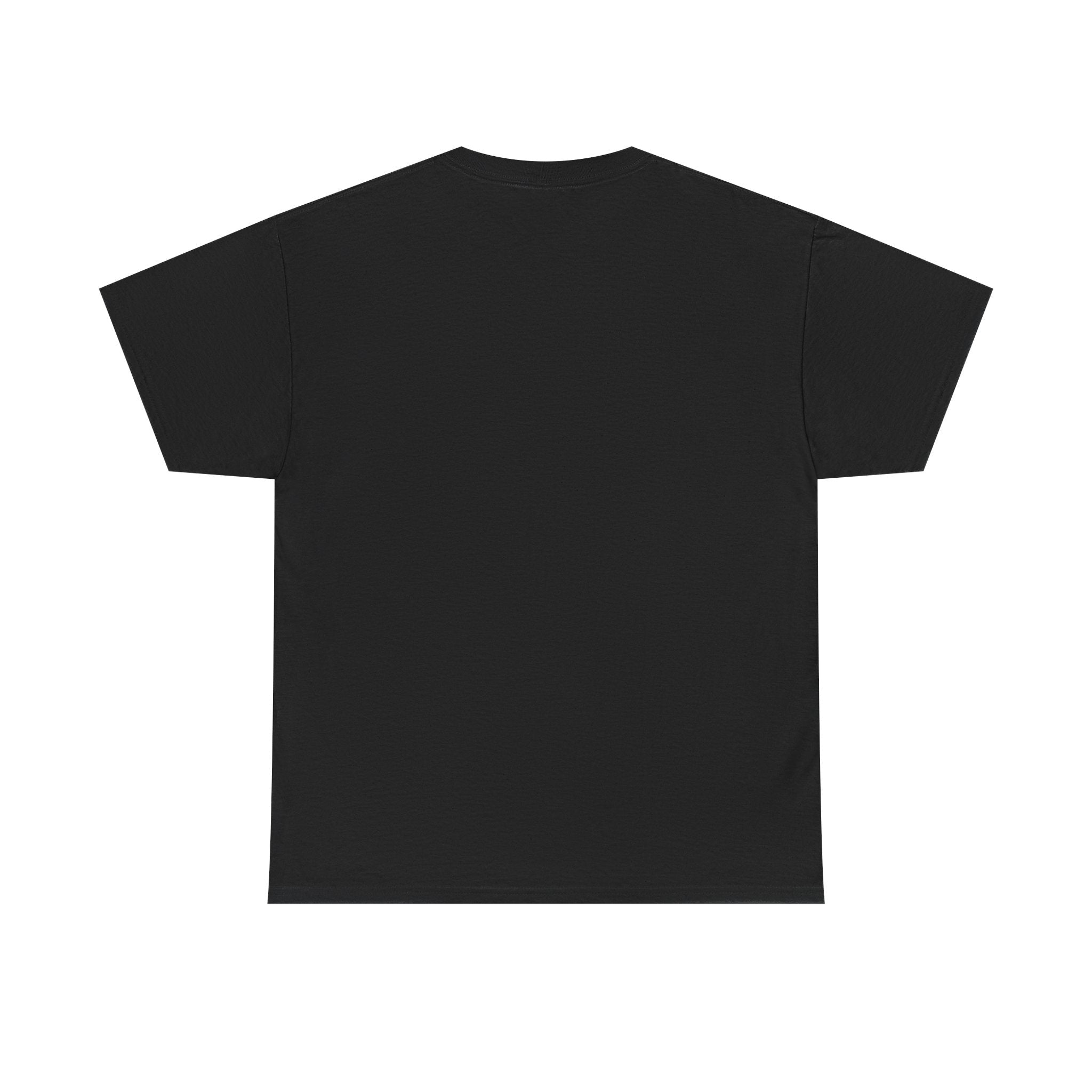 “Slight probability” Galactic Wizard Meme Heavyweight Cotton T-Shirt - The Galactic Wizard Emporium - T-Shirt