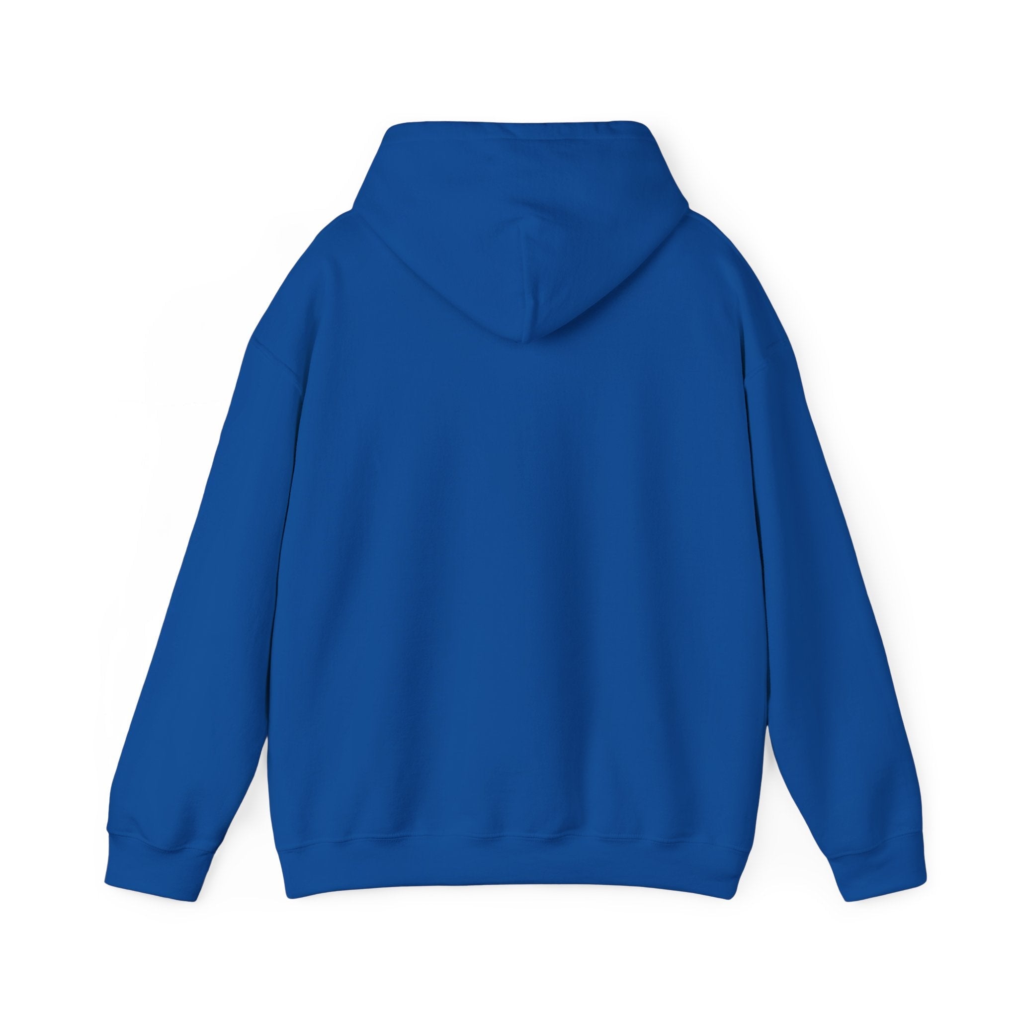 “Slight probability” Galactic Wizard Meme Unisex Hooded Sweatshirt - The Galactic Wizard Emporium - Hoodie