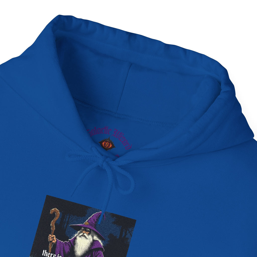 “Slight probability” Galactic Wizard Meme Unisex Hooded Sweatshirt - The Galactic Wizard Emporium - Hoodie