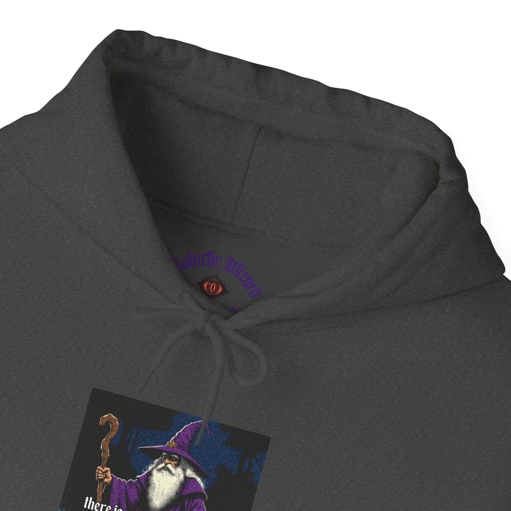 “Slight probability” Galactic Wizard Meme Unisex Hooded Sweatshirt - The Galactic Wizard Emporium - Hoodie