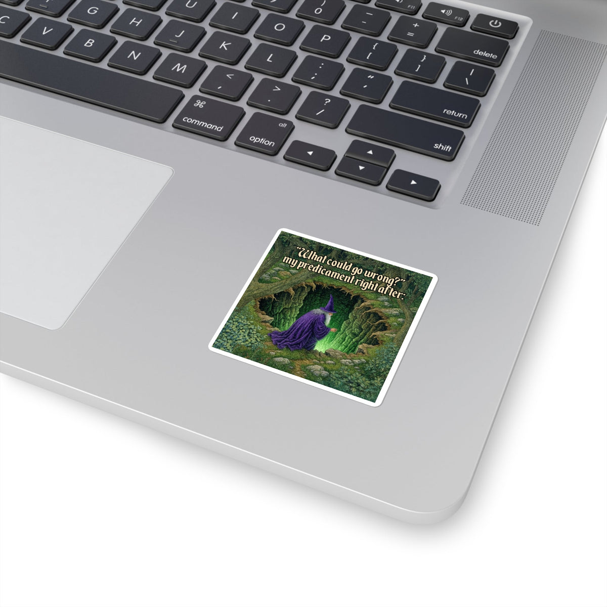 “What Could Go Wrong" Galactic Wizard Meme Sticker - The Galactic Wizard Emporium - Paper products